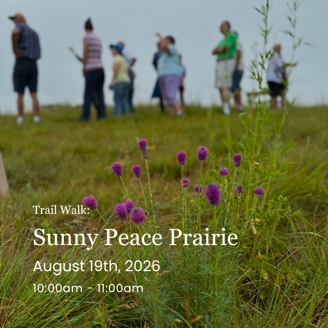 Trail Walk: Sunny Peace Prairie