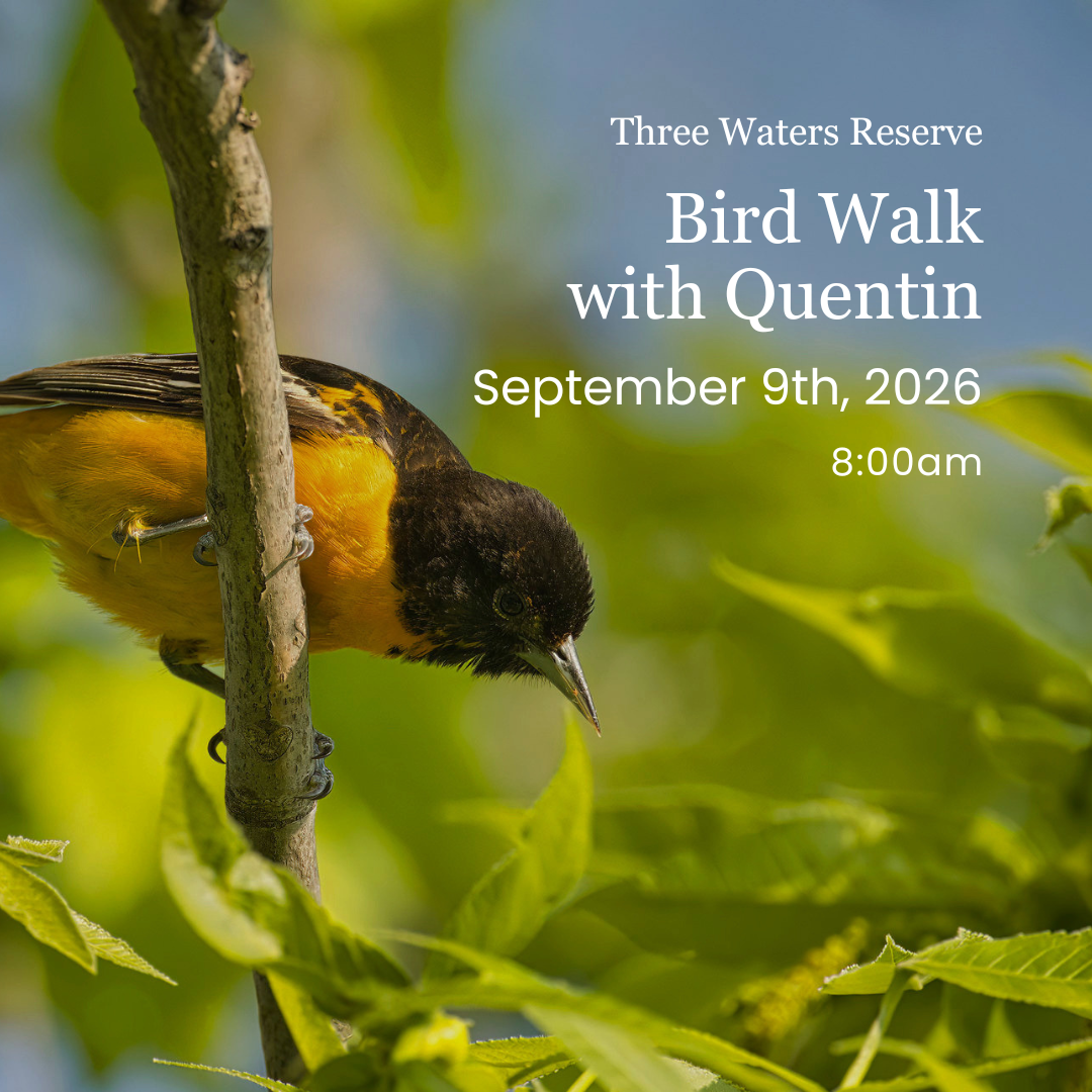 Bird Walk with Quentin
