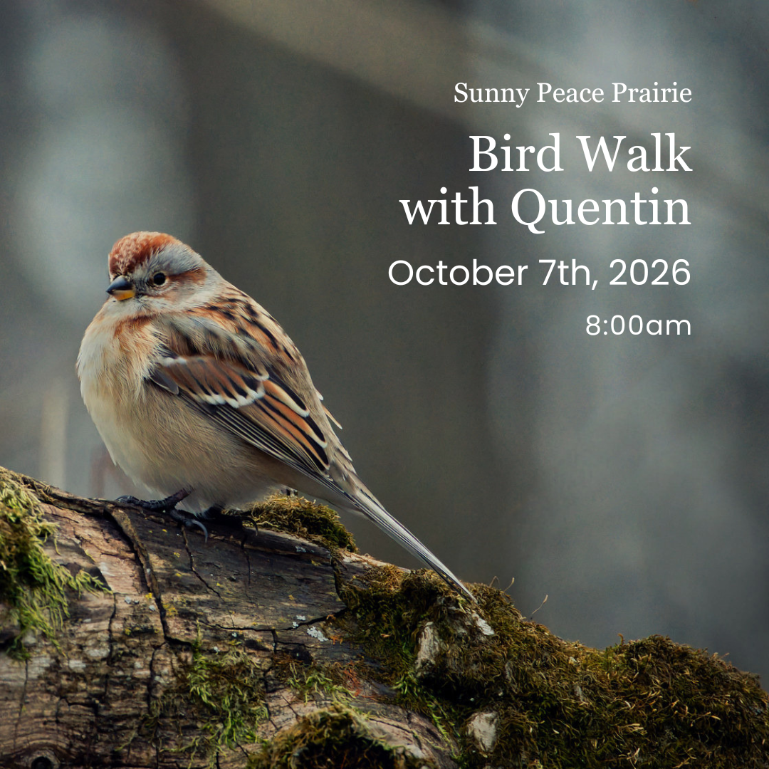 Bird Walk with Quentin