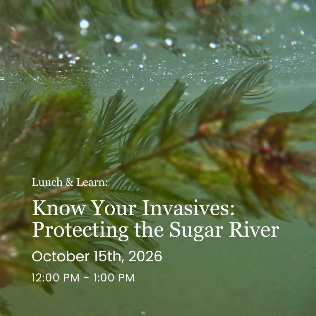 Lunch & Learn: Know Your Invasives - Protecting the Sugar River