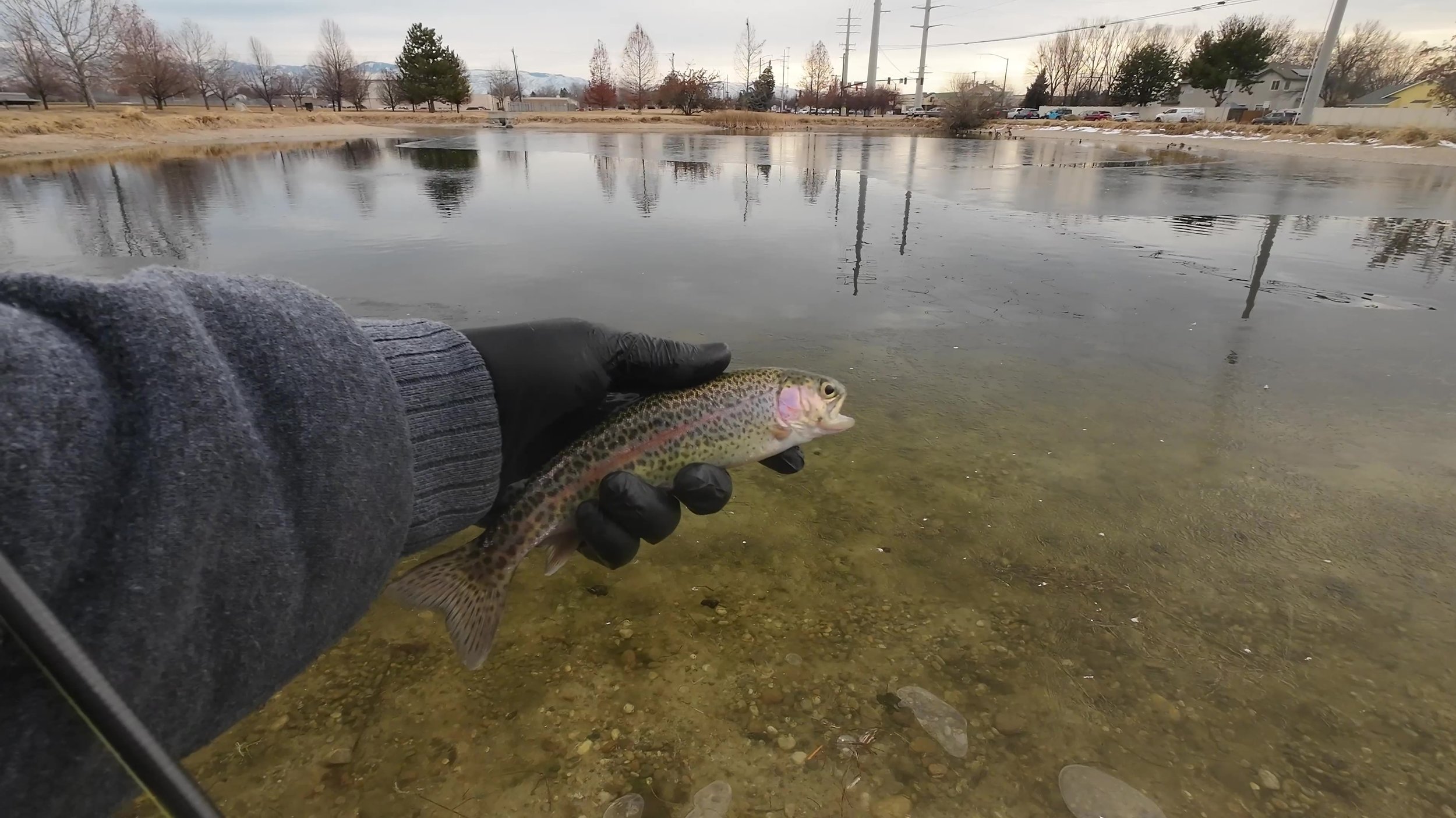 Finding the Fish (Part 2)