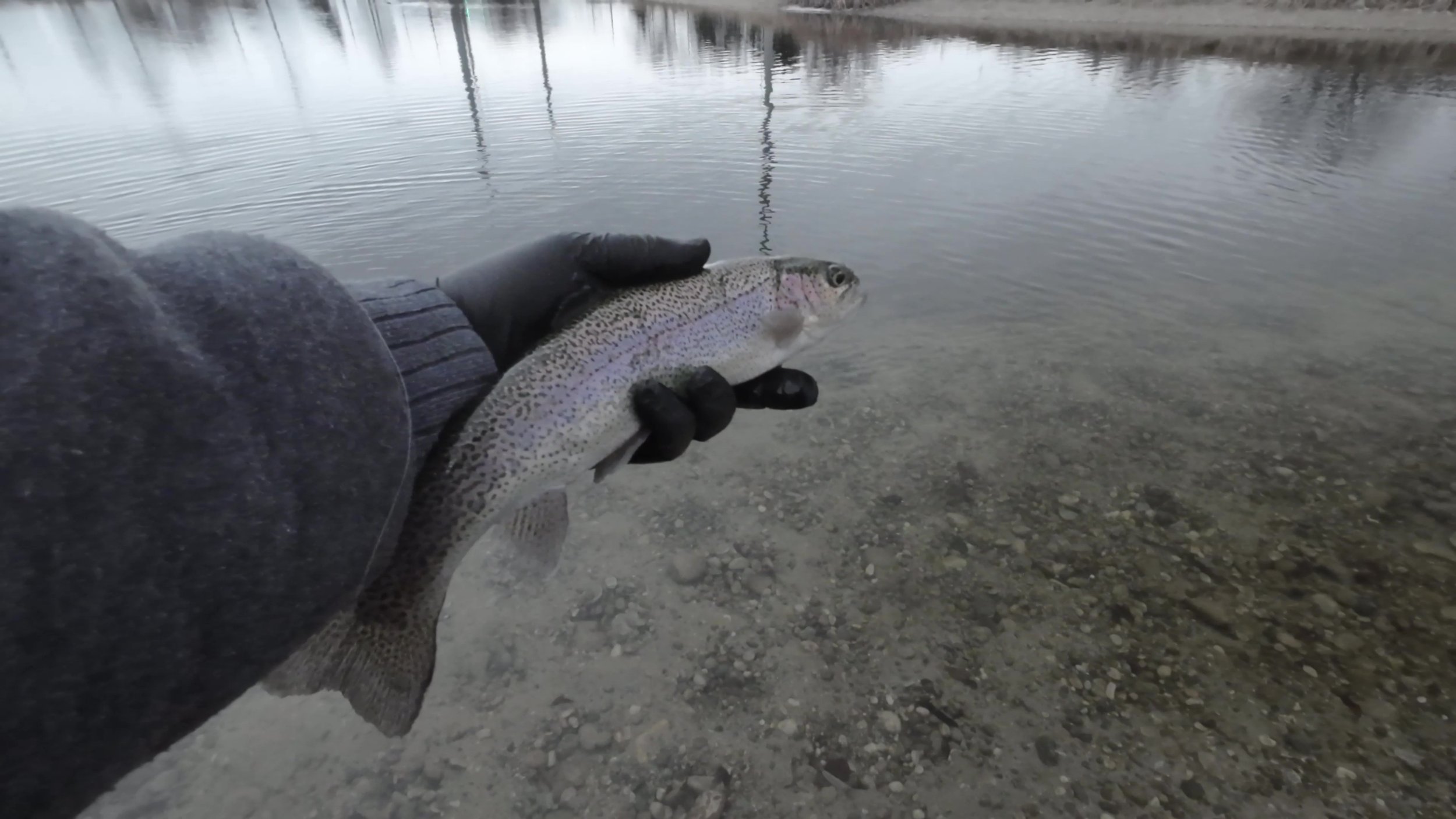 Finding a Honey Hole (Part 3)