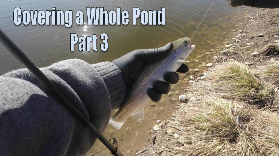 Covering the Whole Pond, Part 3