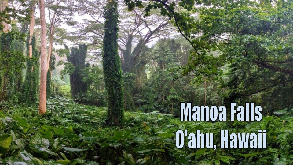 Manoa Falls, O’ahu, Hawaii