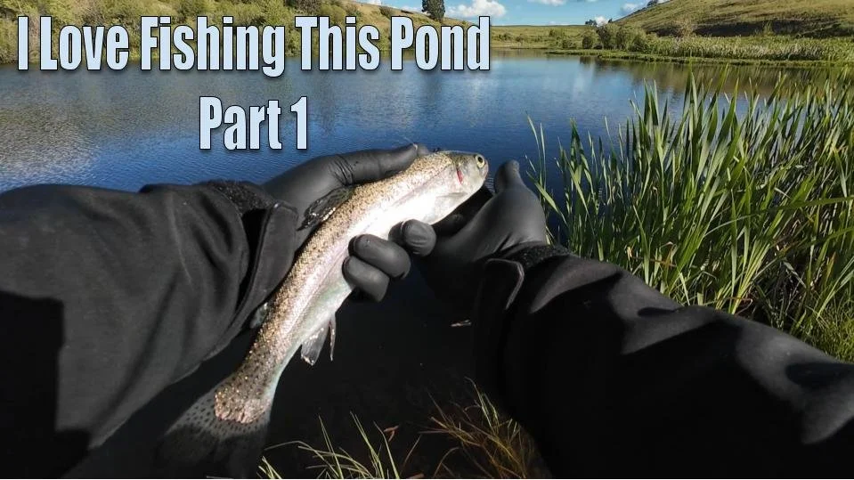 This Pond Always Produces, Part 1