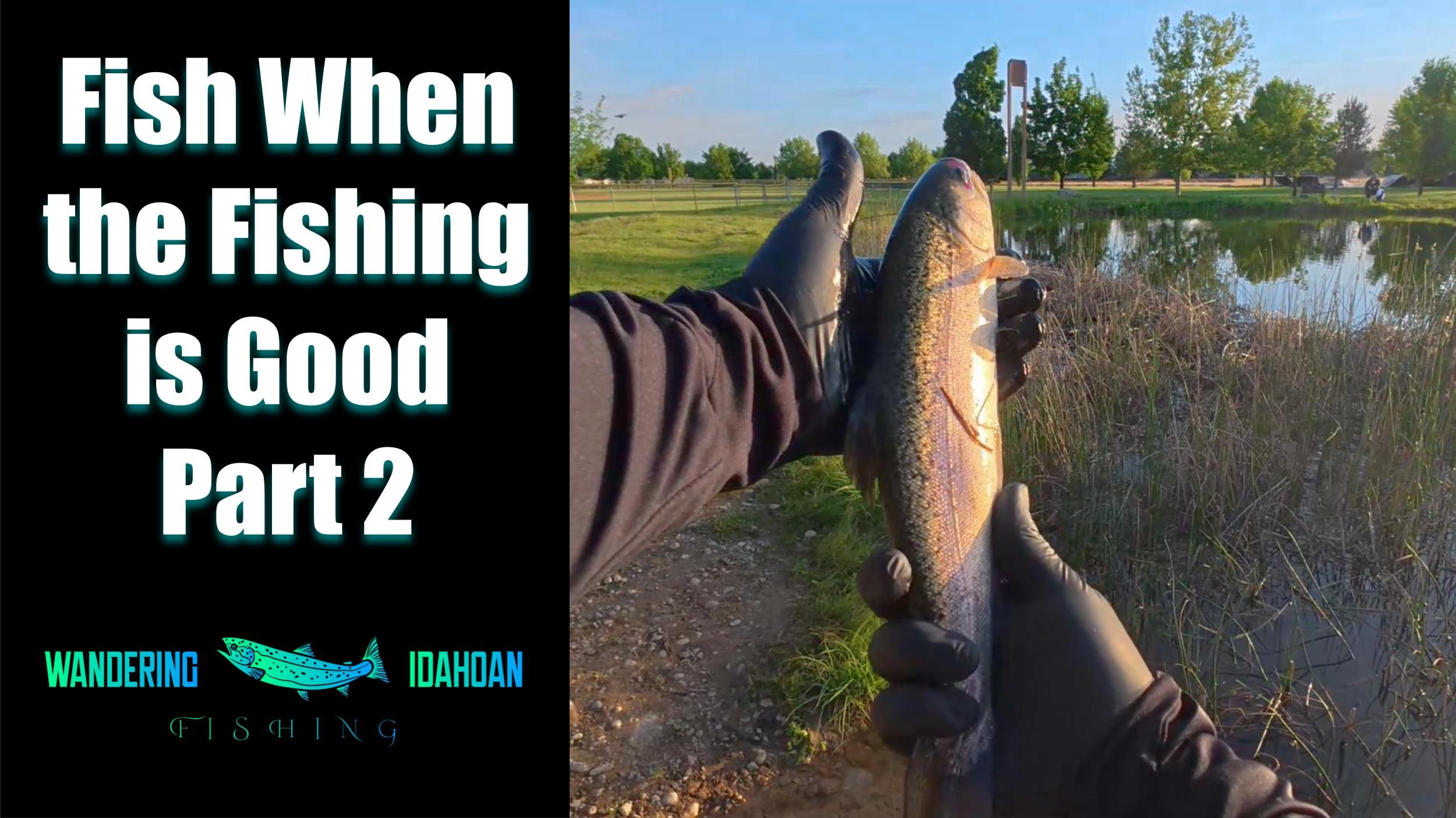 Fish When the Fishing is Good, Part 2