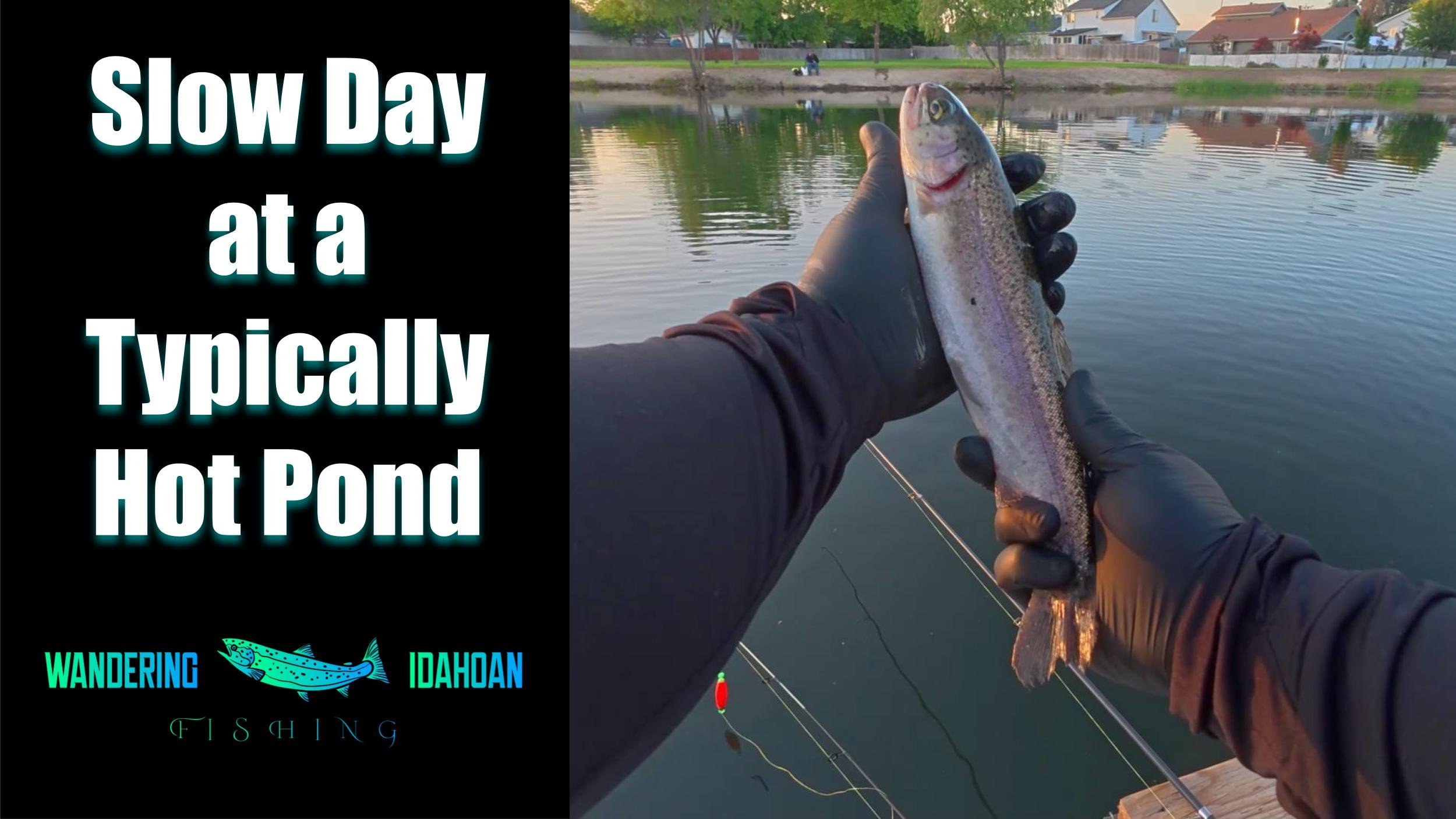A Slow Day at a Typically Hot Pond