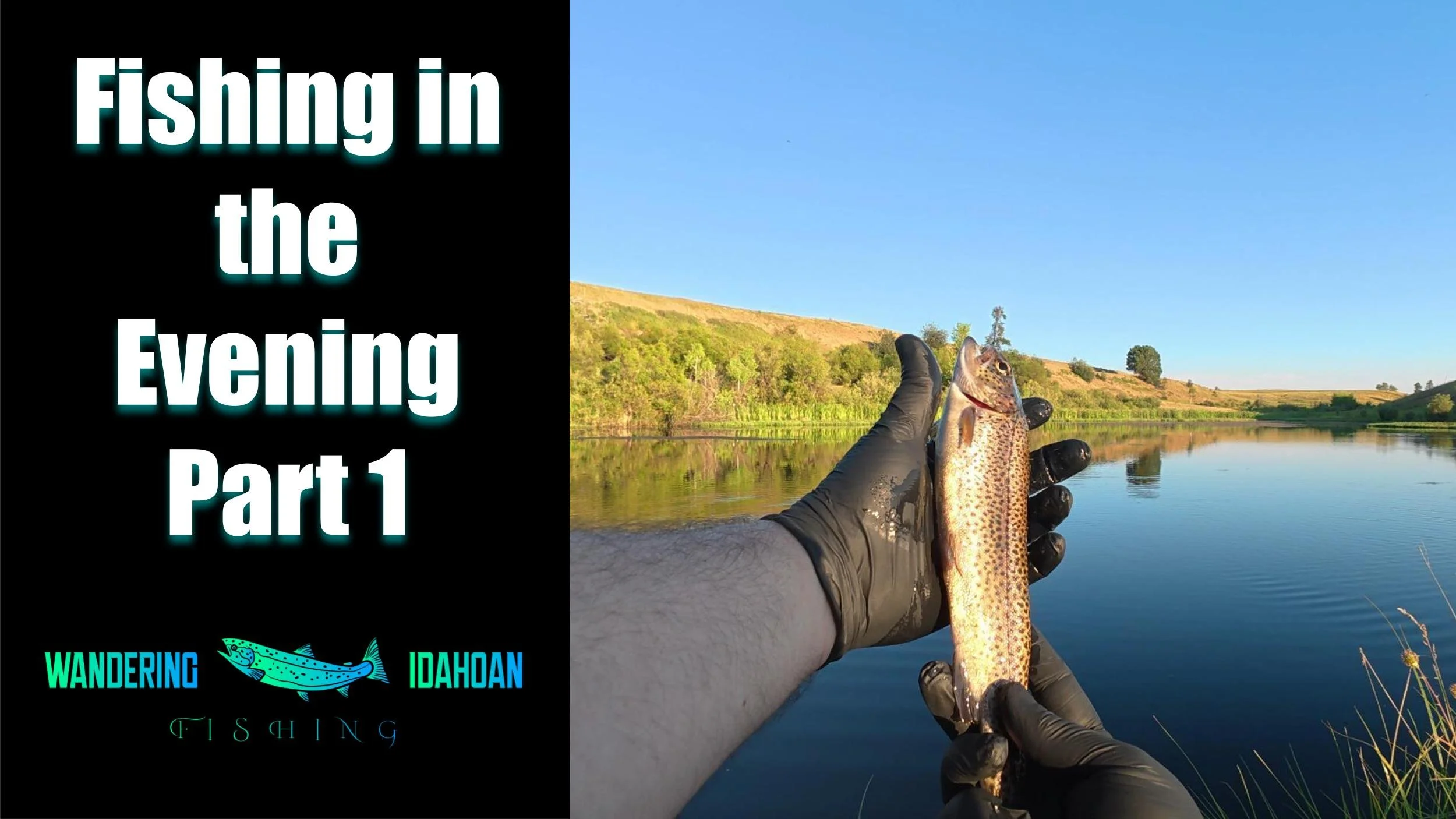 Fishing in the Evening, Part 1