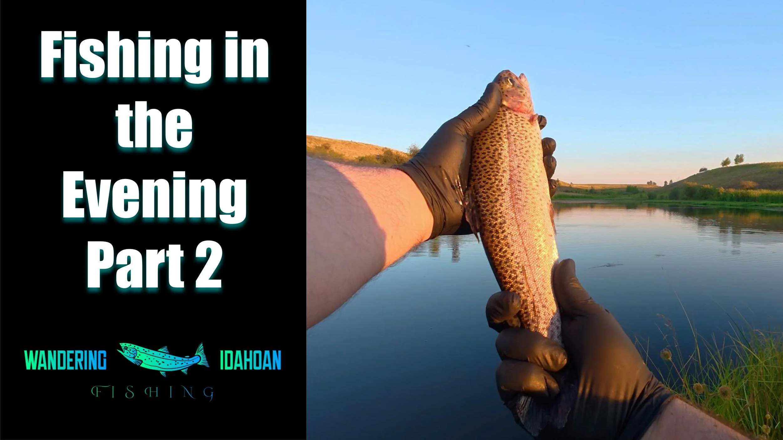 Fishing in the Evening, Part 2