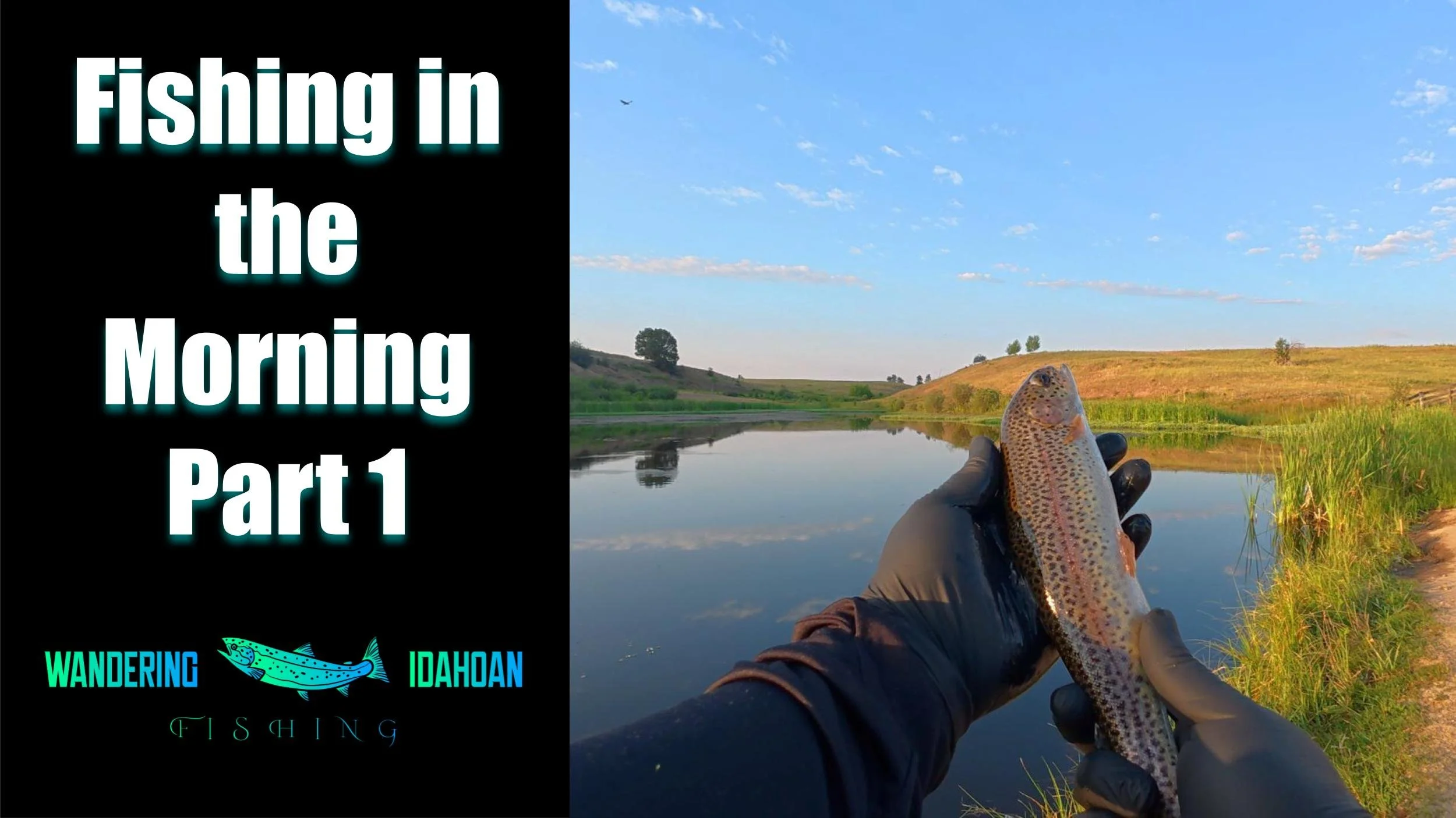 Fishing in the Morning, Part 1