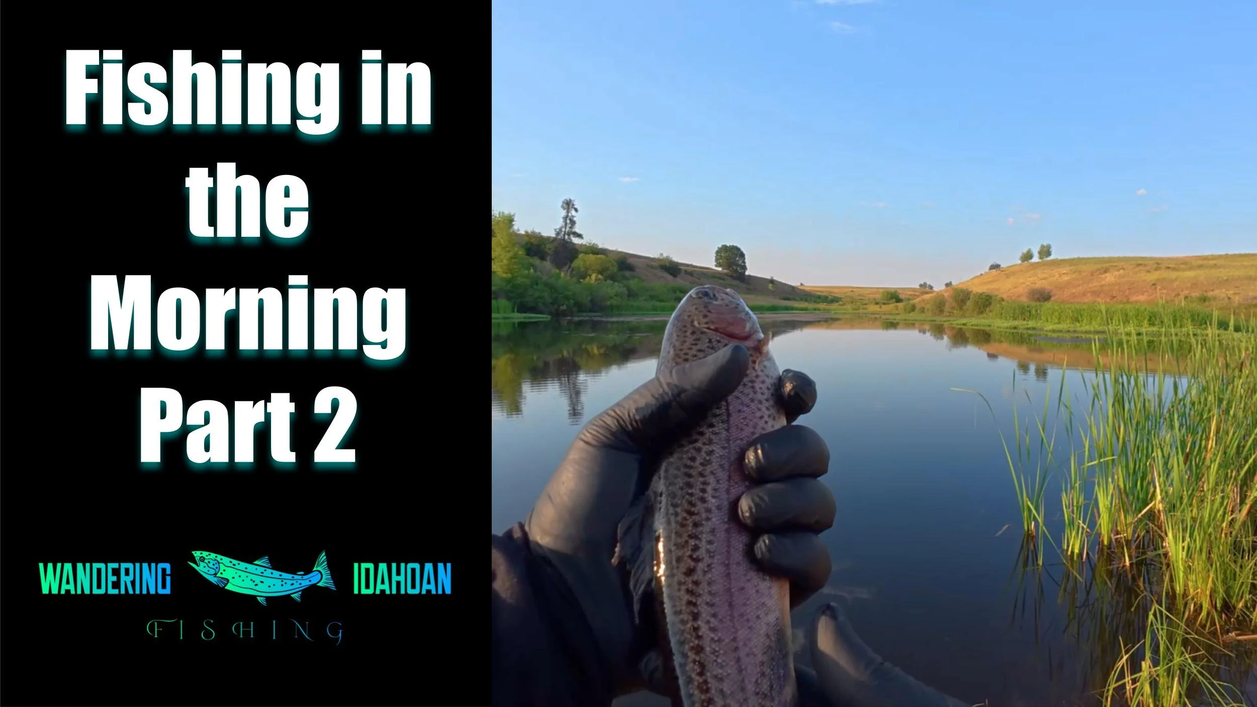 Fishing in the Morning, Part 2