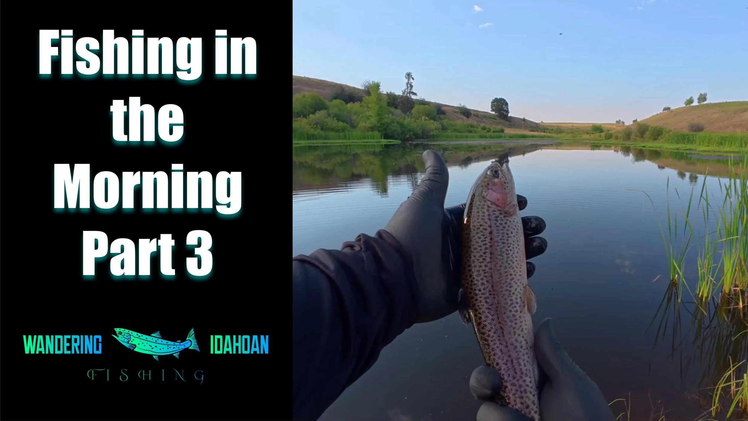 Fishing in the Morning, Part 3
