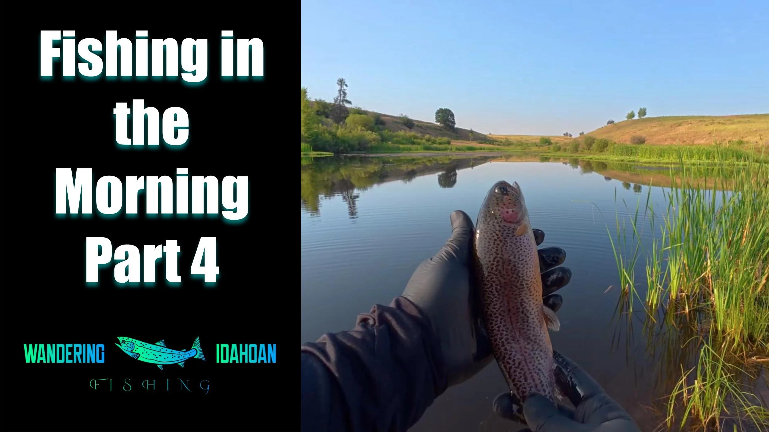Fishing in the Morning, Part 4