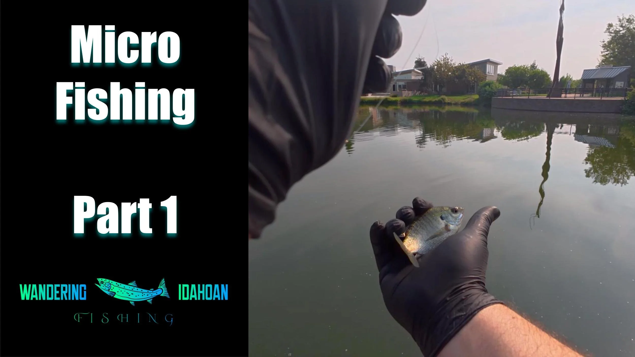 Micro Fishing (Last Resort of Late Summer), Part 1