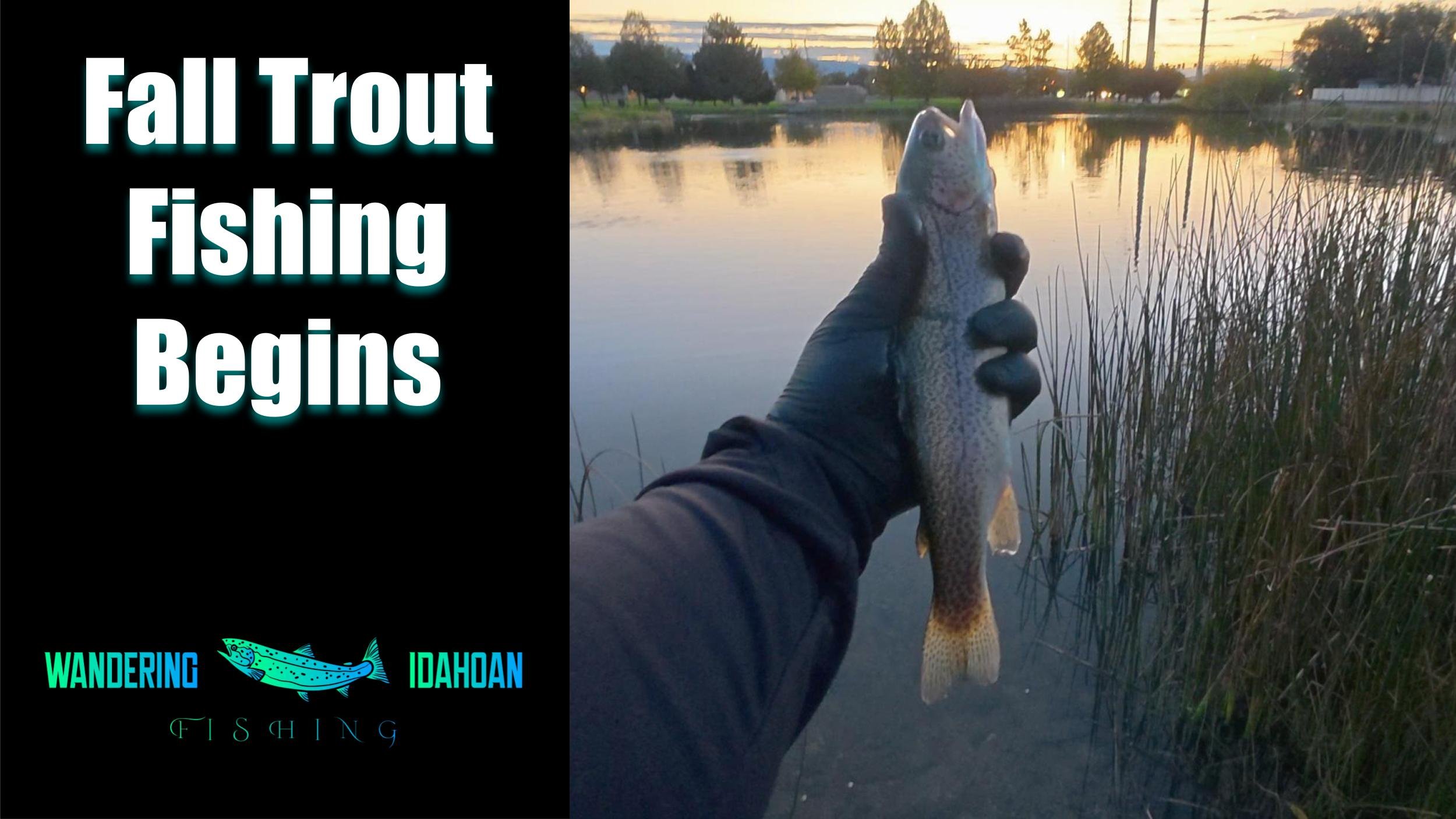 Fall Trout Fishing Begins