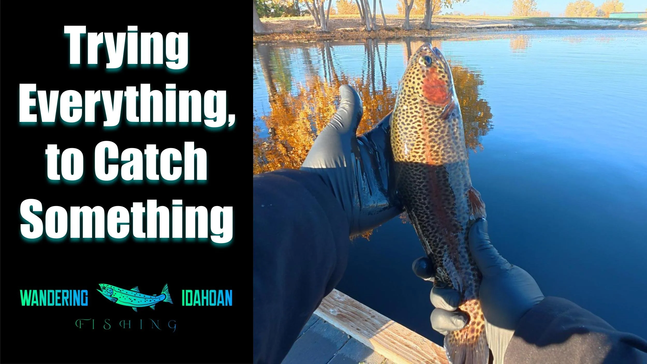 Trying Everything to Catch Something