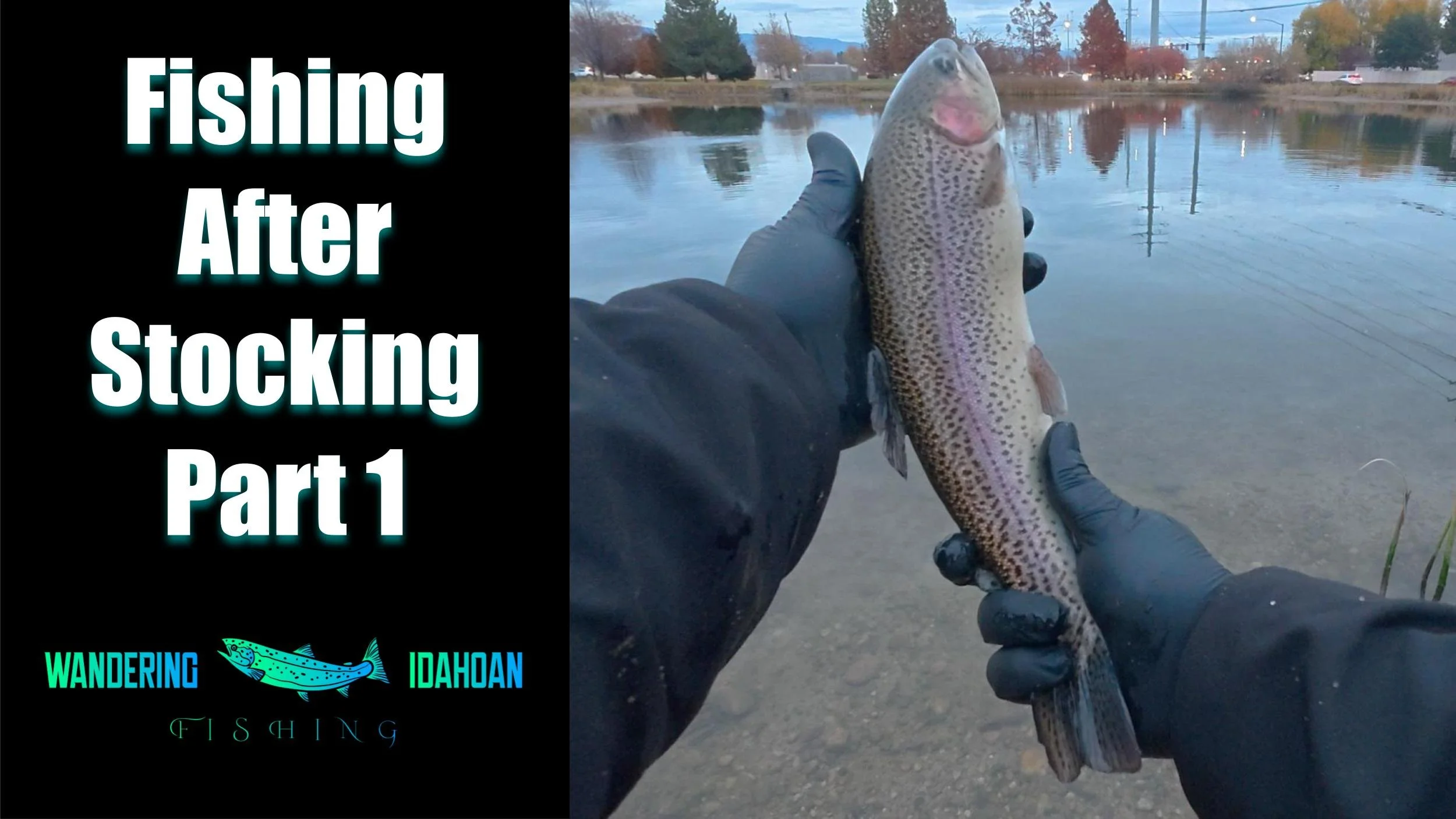 Fishing After the Pond is Stocked, Part 1