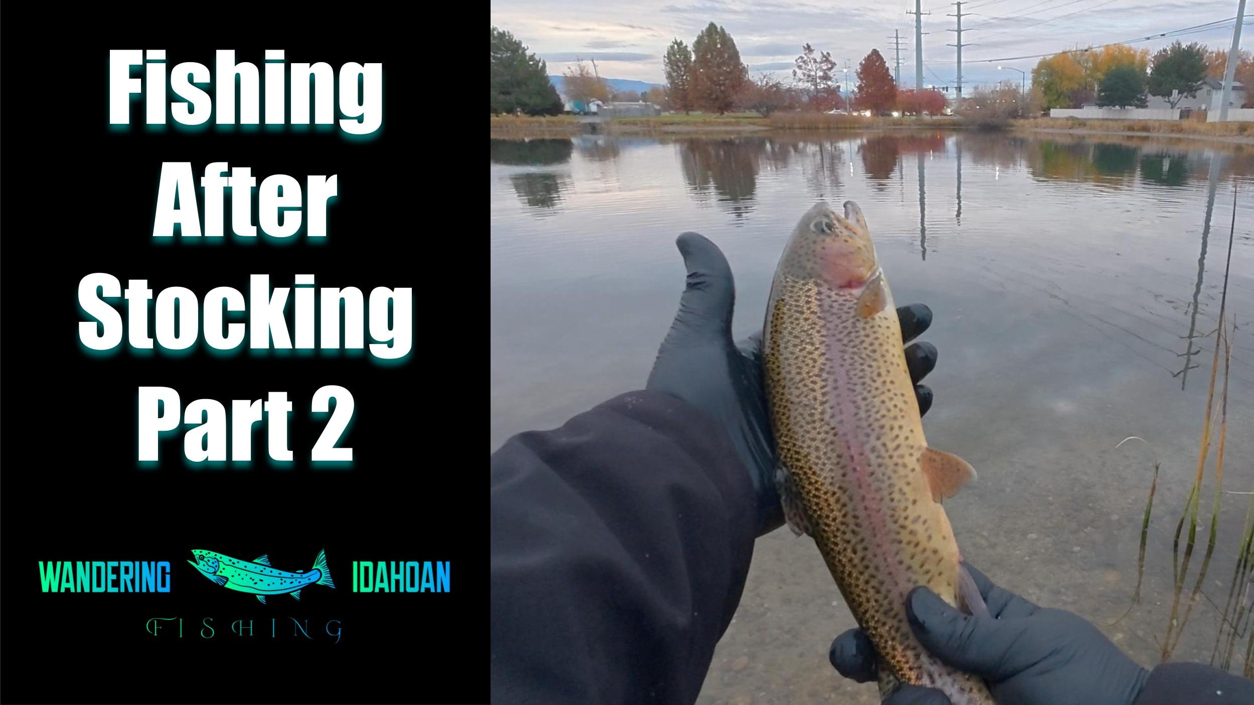 Fishing After the Pond is Stocked, Part 2