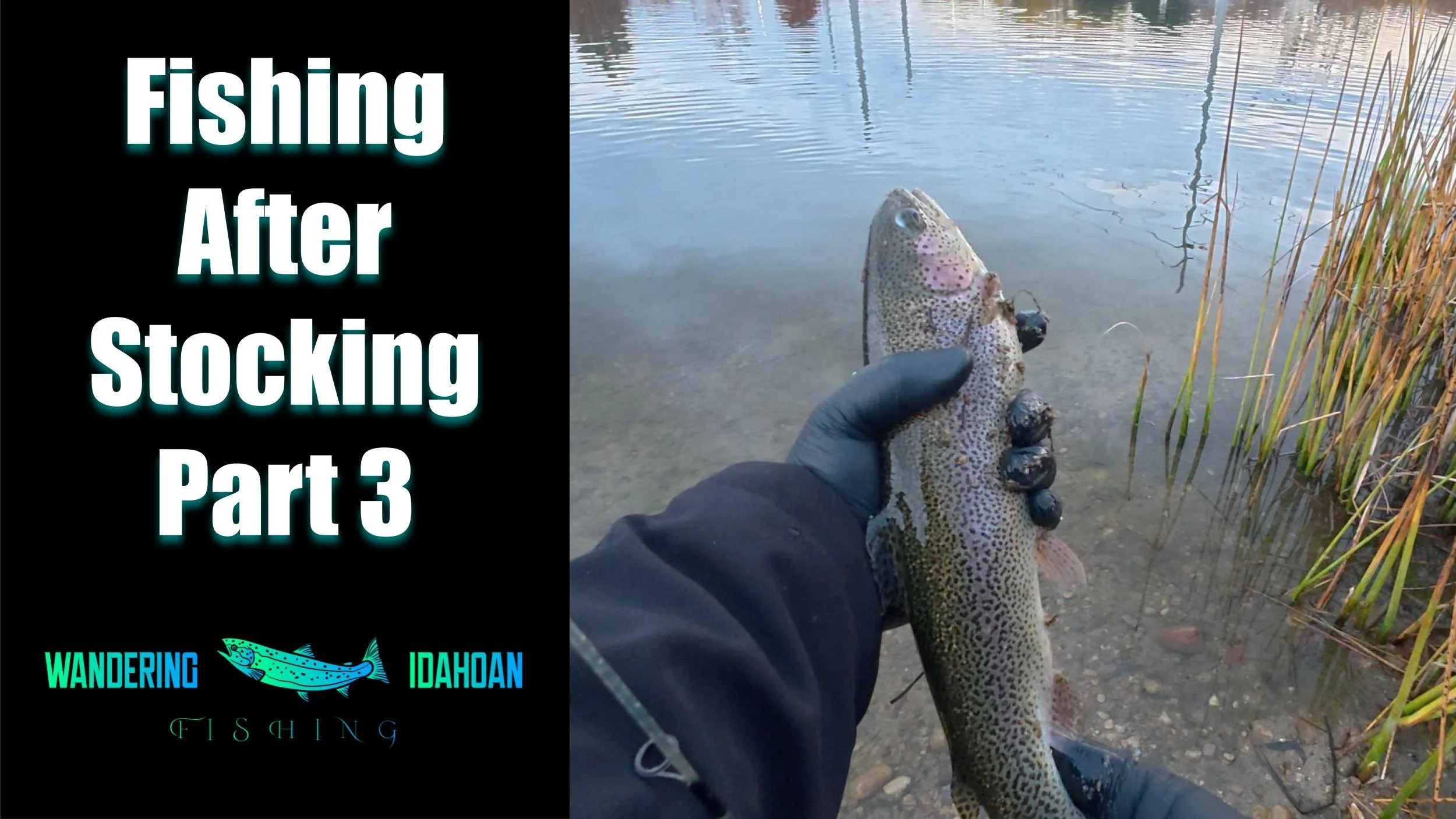 Fishing After the Pond is Stocked, Part 3