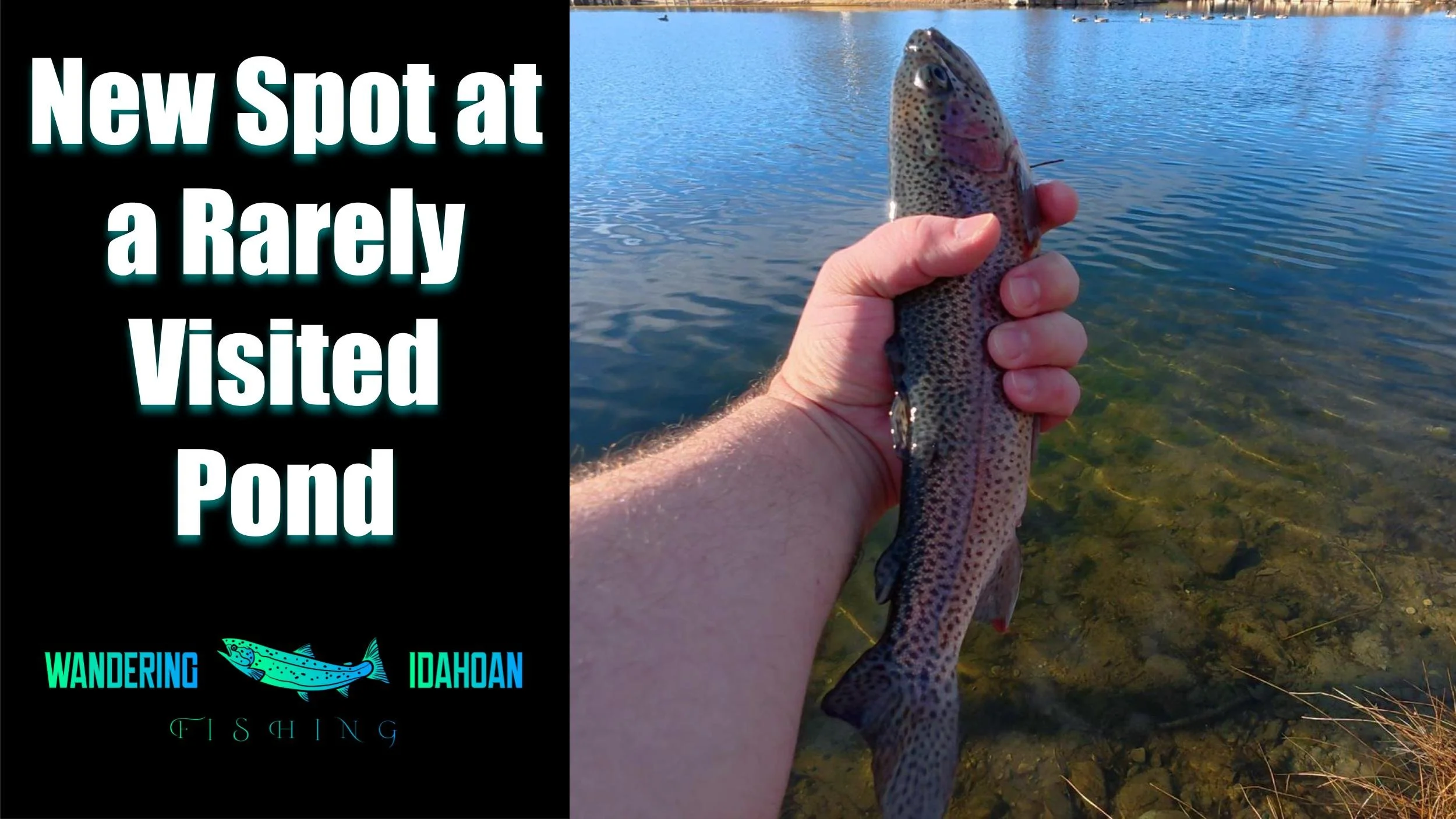 New Spot at a Rarely Visited Pond