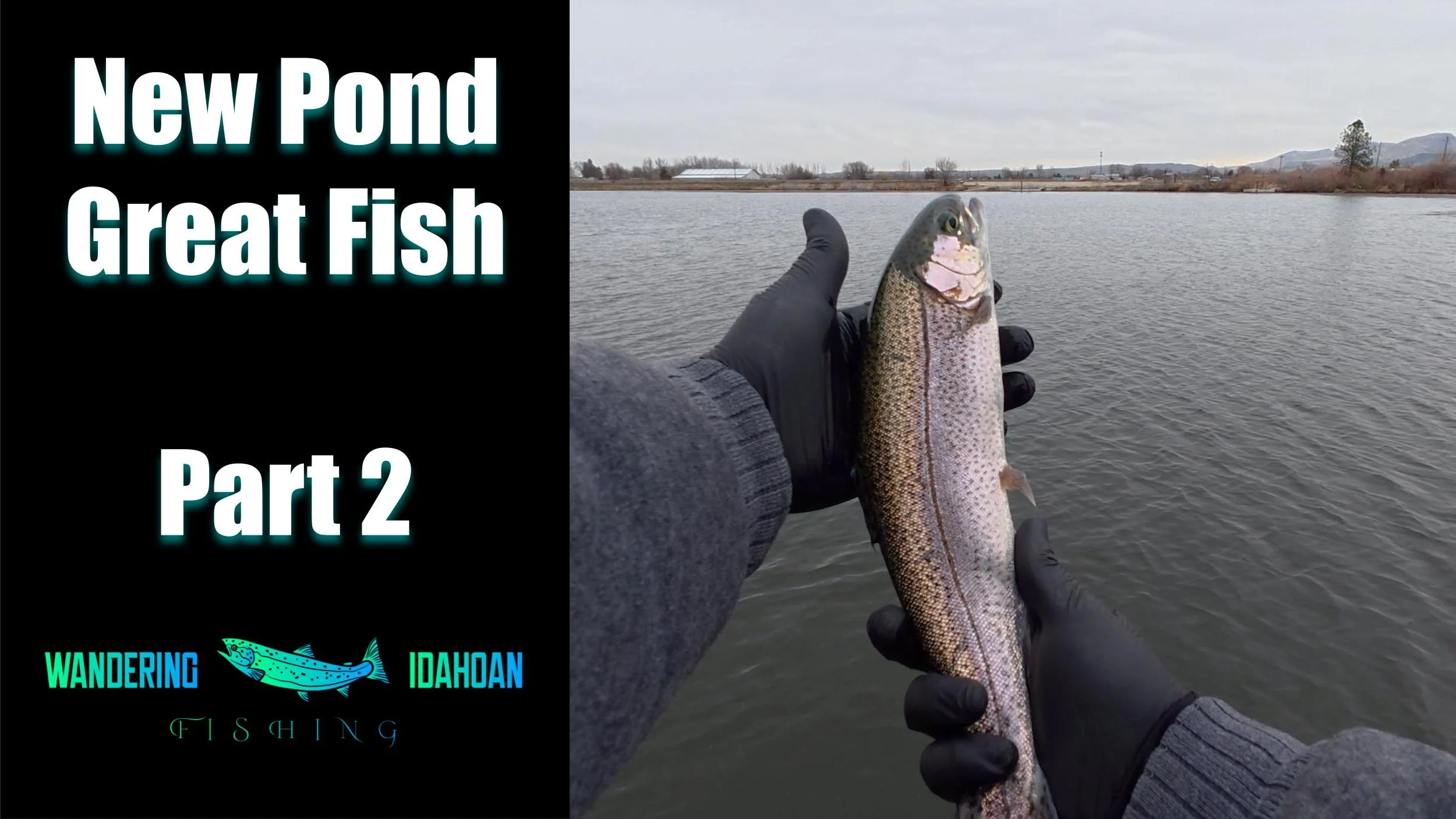 New Pond, Great Fish, Part 2