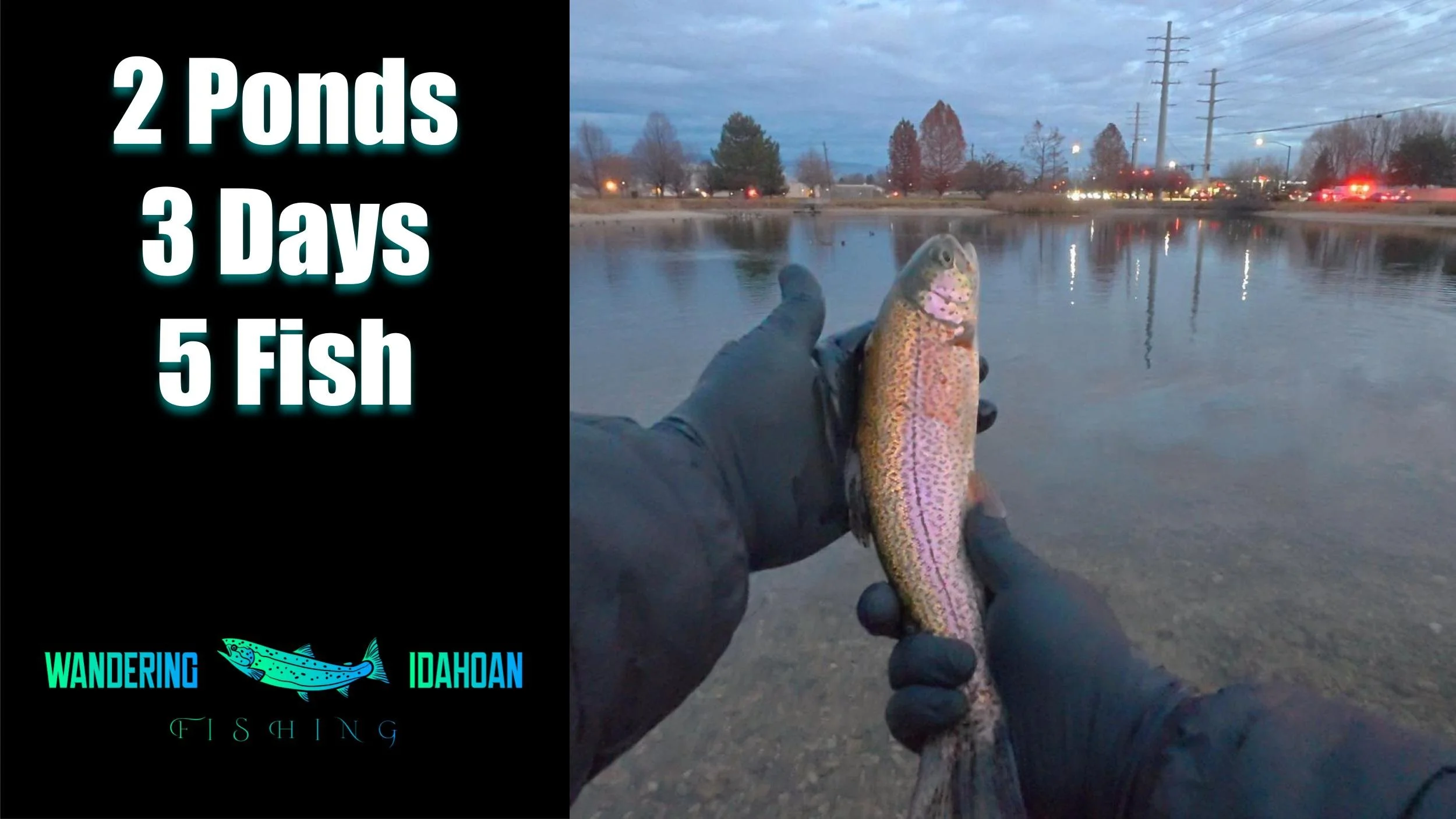 2 Ponds, 3 Days, 5 Fish