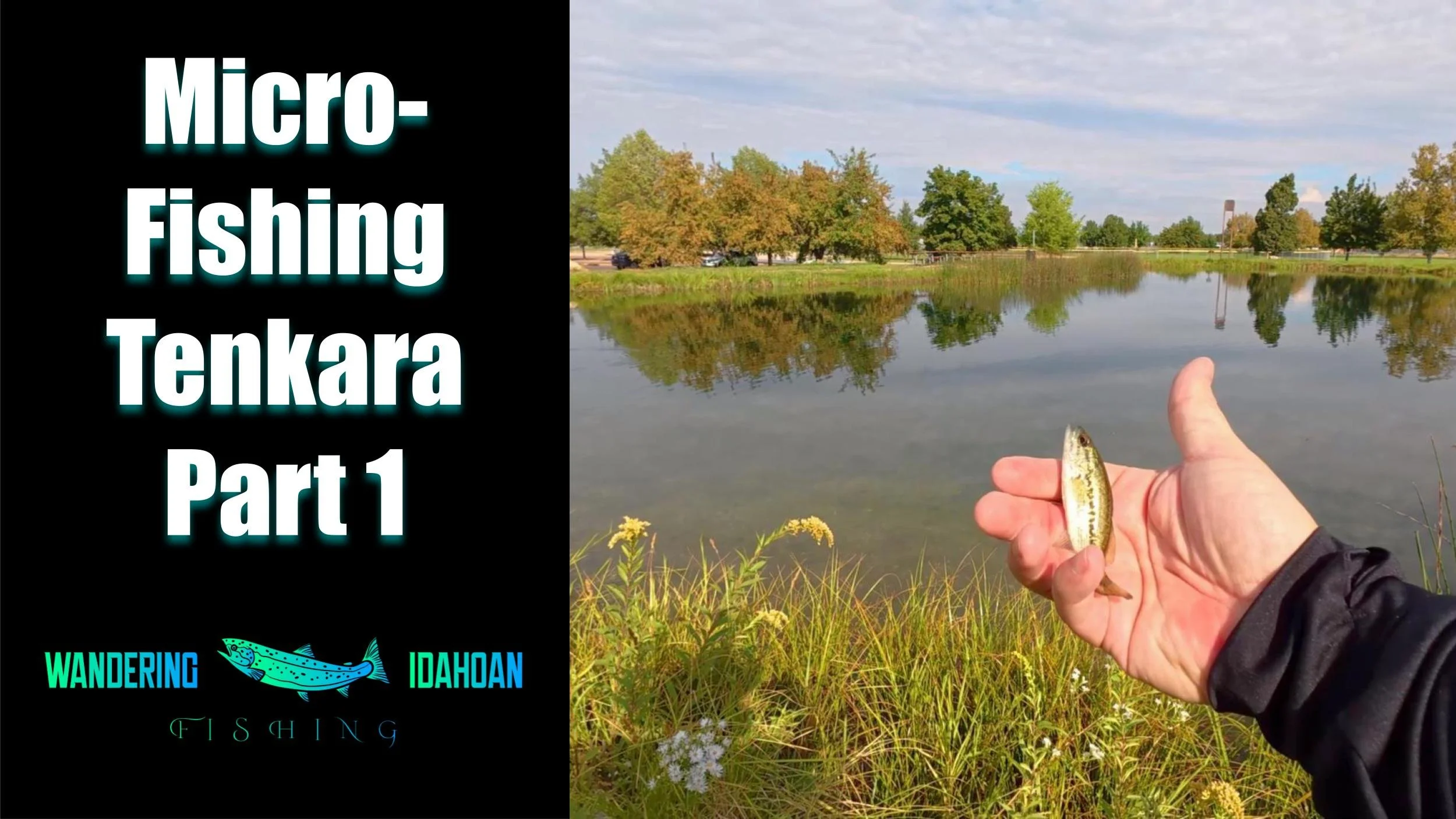 Micro-Fishing with a Tenkara Rod