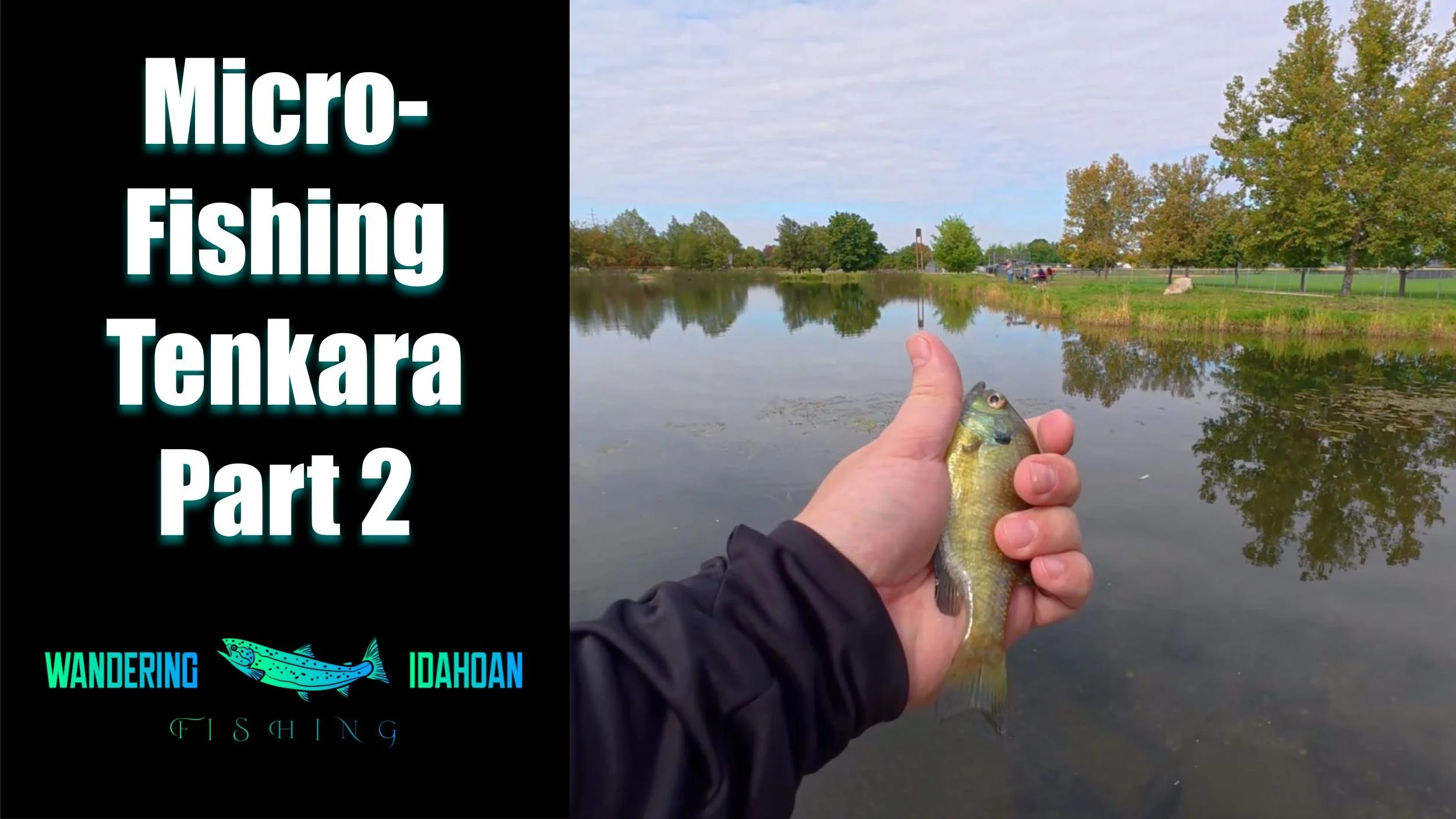 Micro-Fishing with a Tenkara Rod