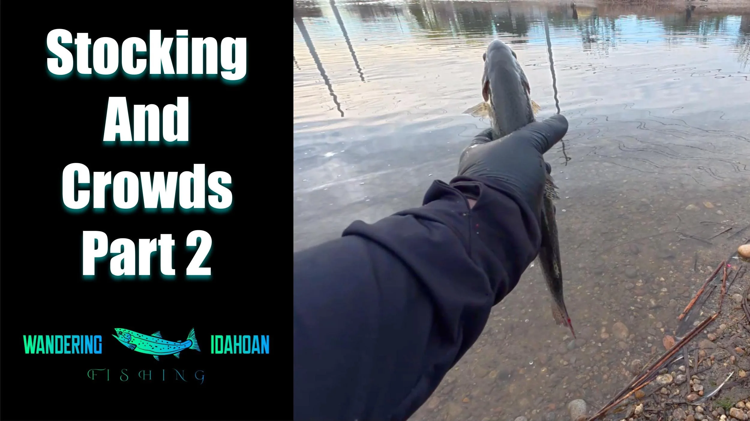 Fresh Spring Stocking &amp; Crowded Fishing