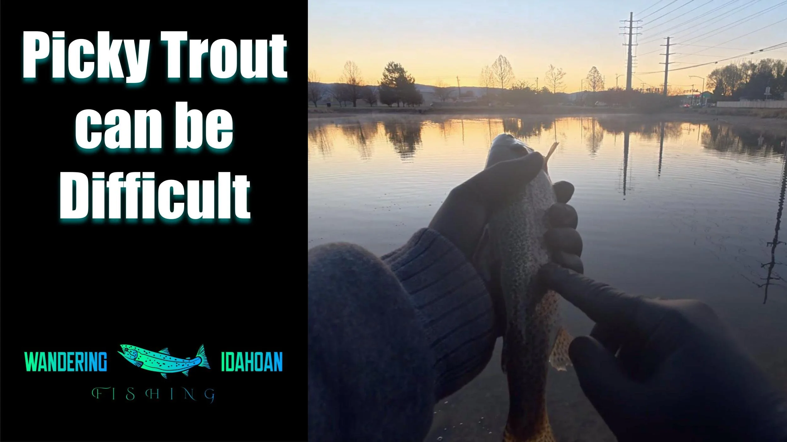Picky Trout can be Difficult