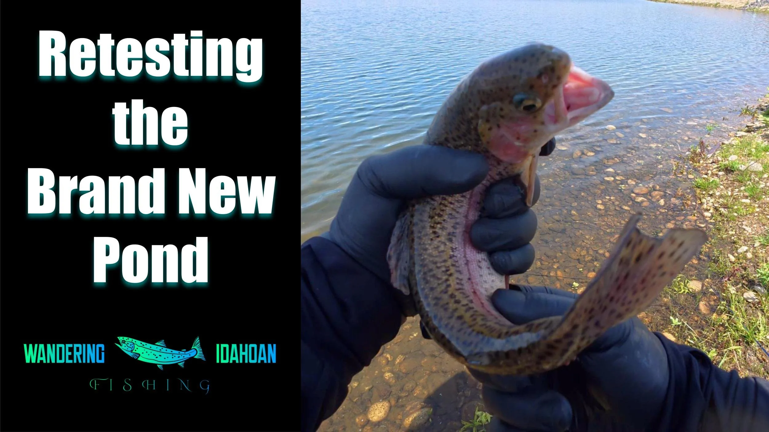 Retesting the Brand New Pond