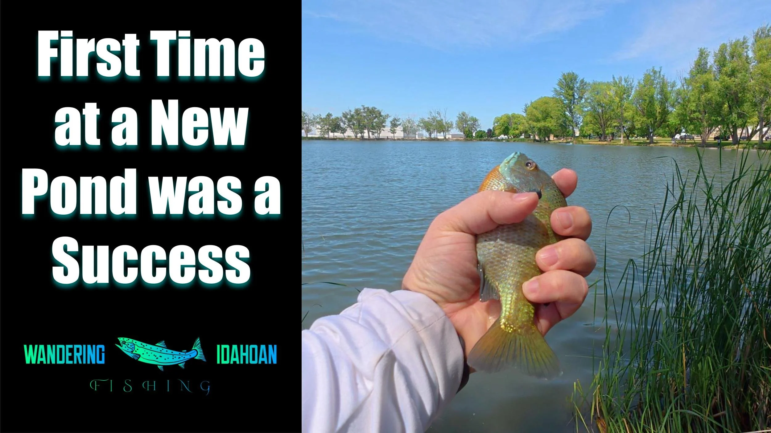 First Time at a New Pond was a Success, Part 1