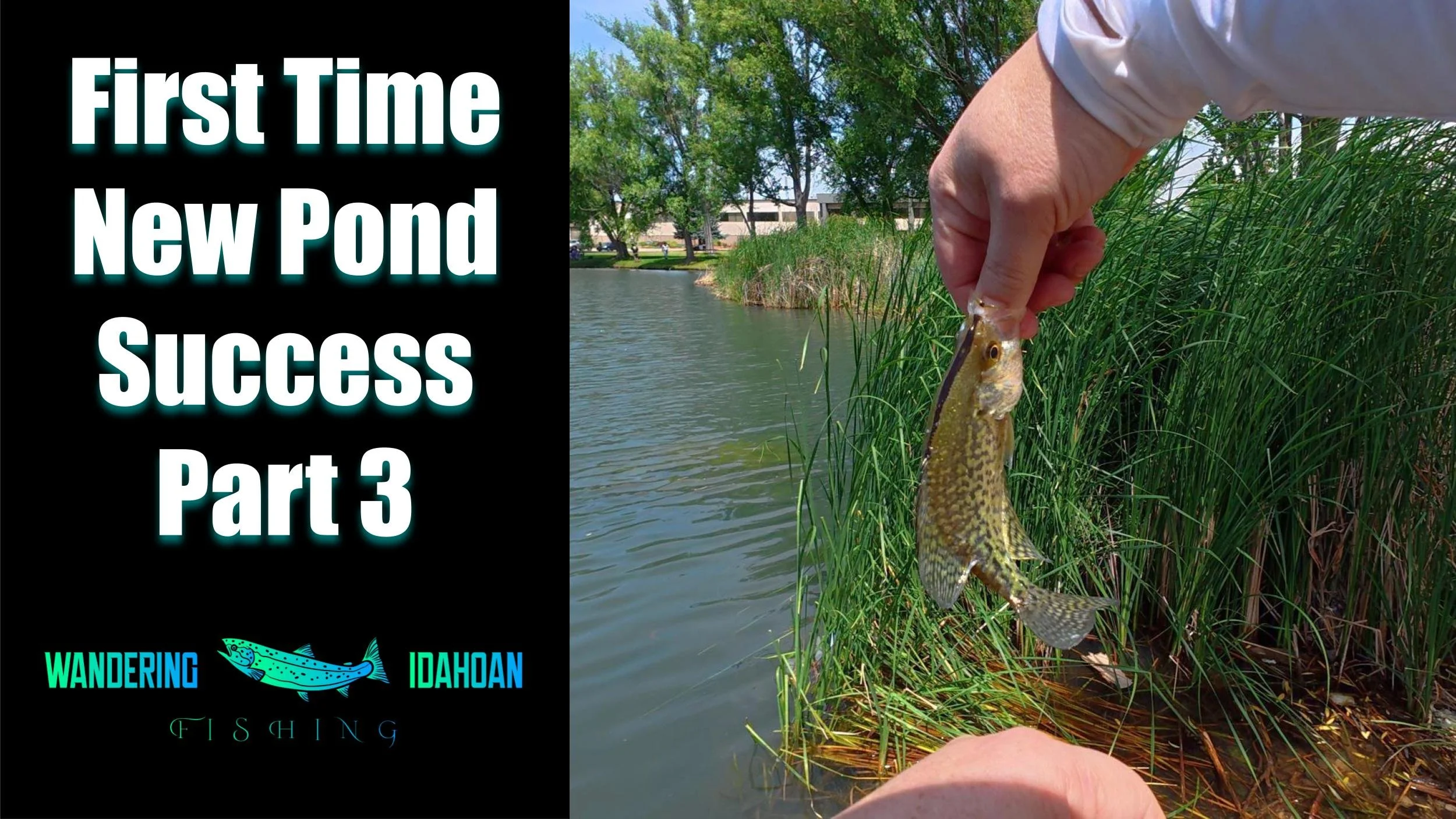 First Time at a New Pond was a Success, Part 3