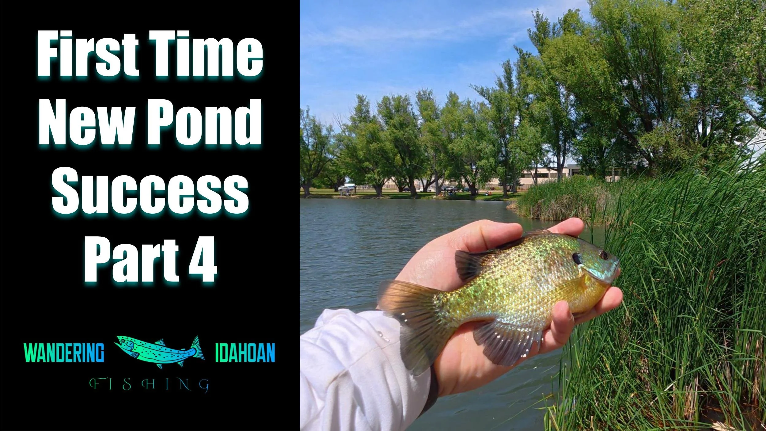 First Time at a New Pond was a Success, Part 4