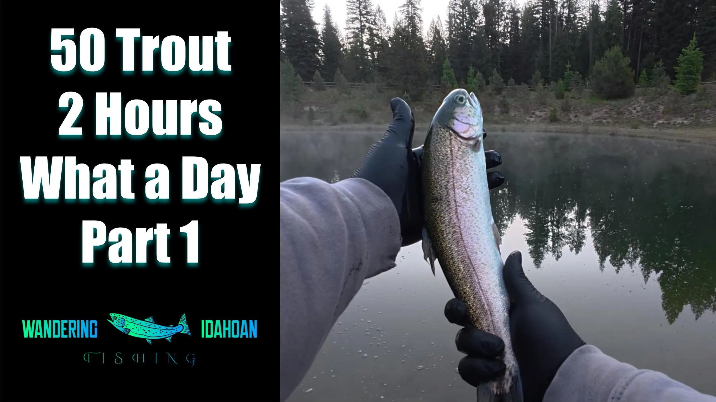 50 Trout in 2 Hours, Part 1