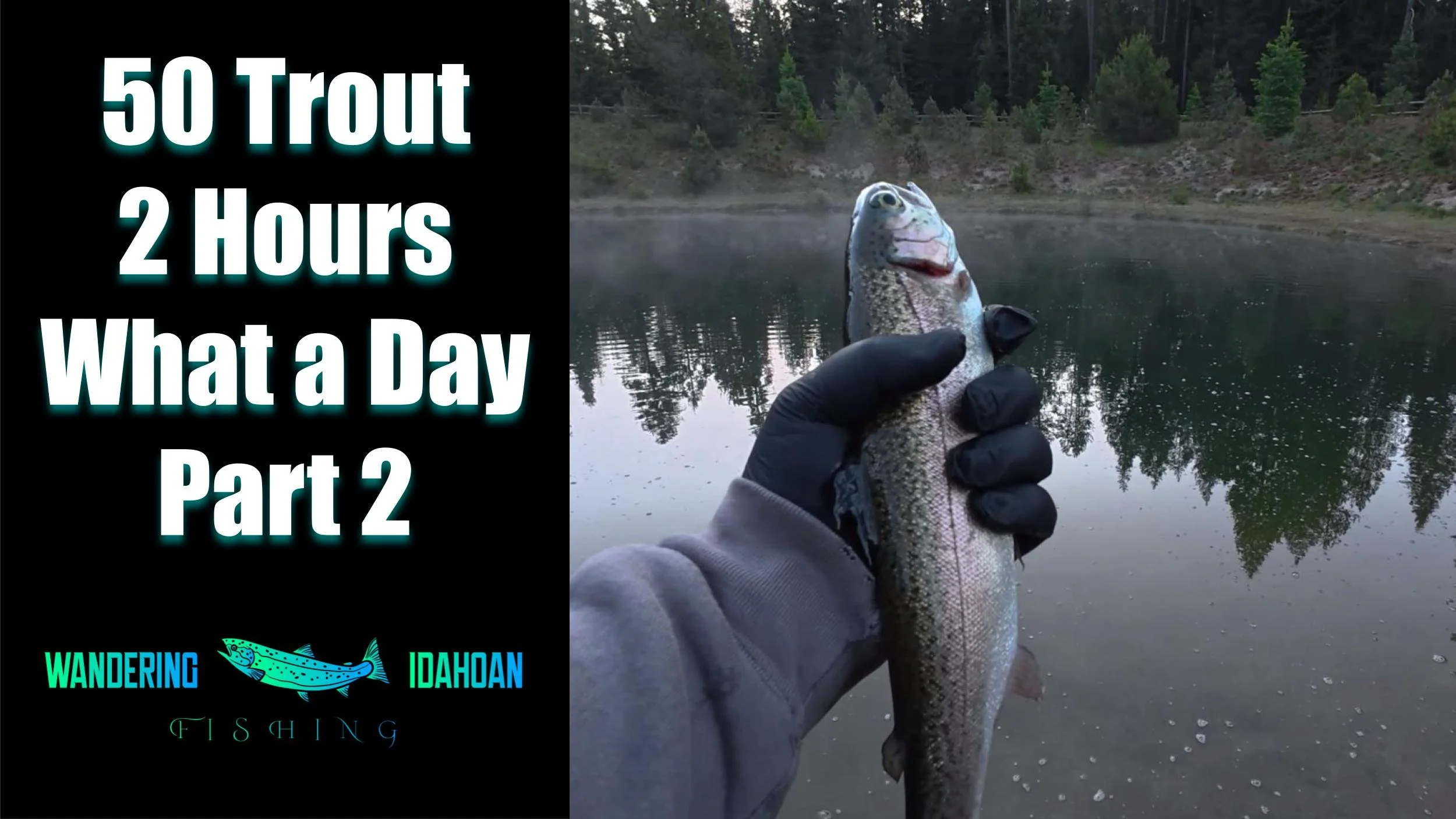 50 Trout in 2 Hours, Part 2