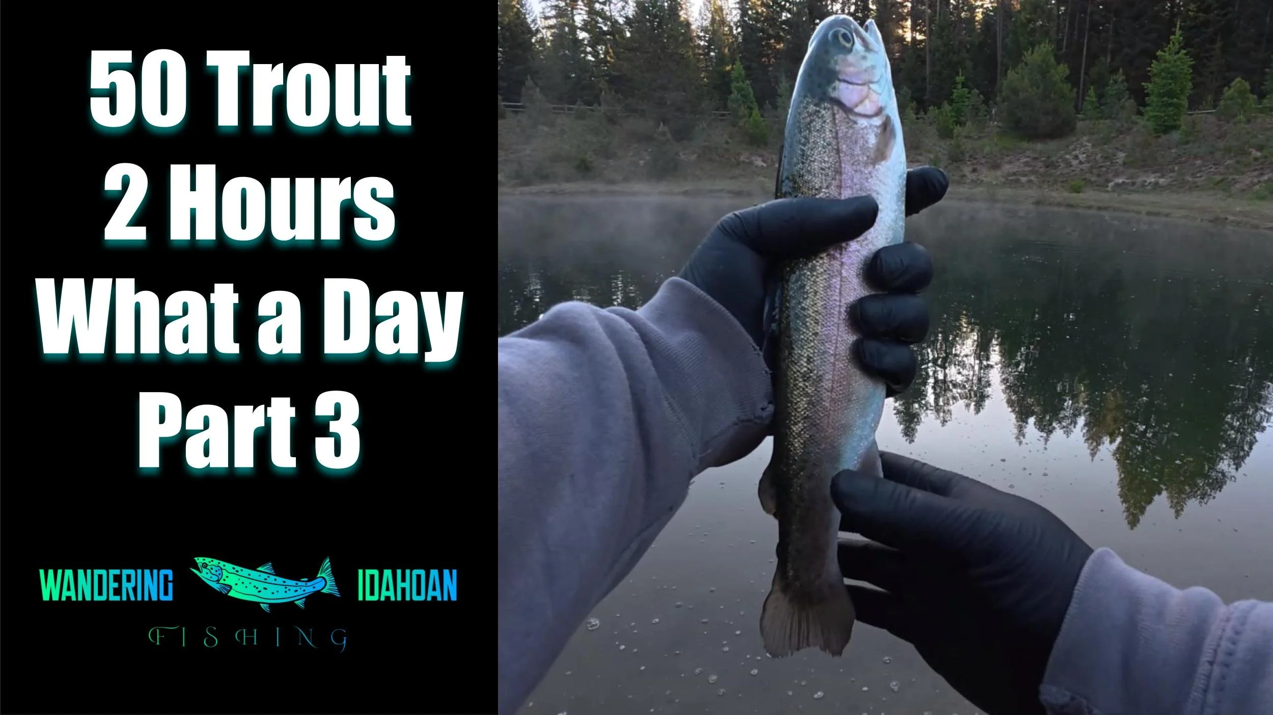 50 Trout in 2 Hours, Part 3