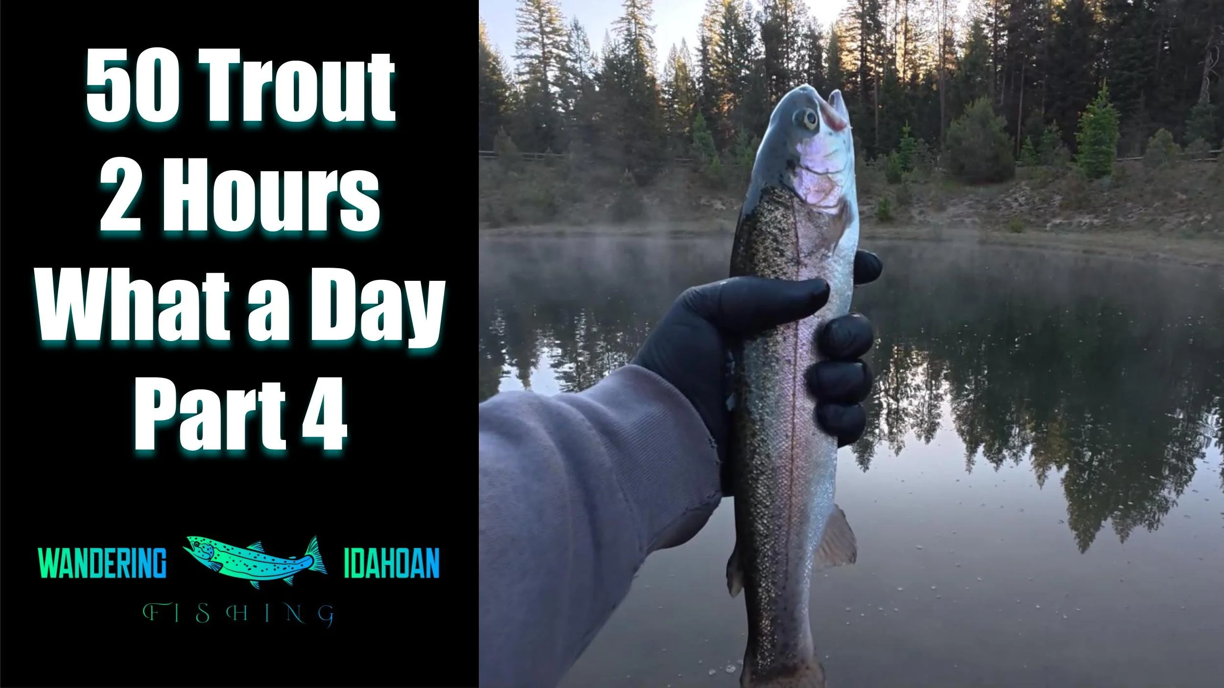50 Trout in 2 Hours, Part 4