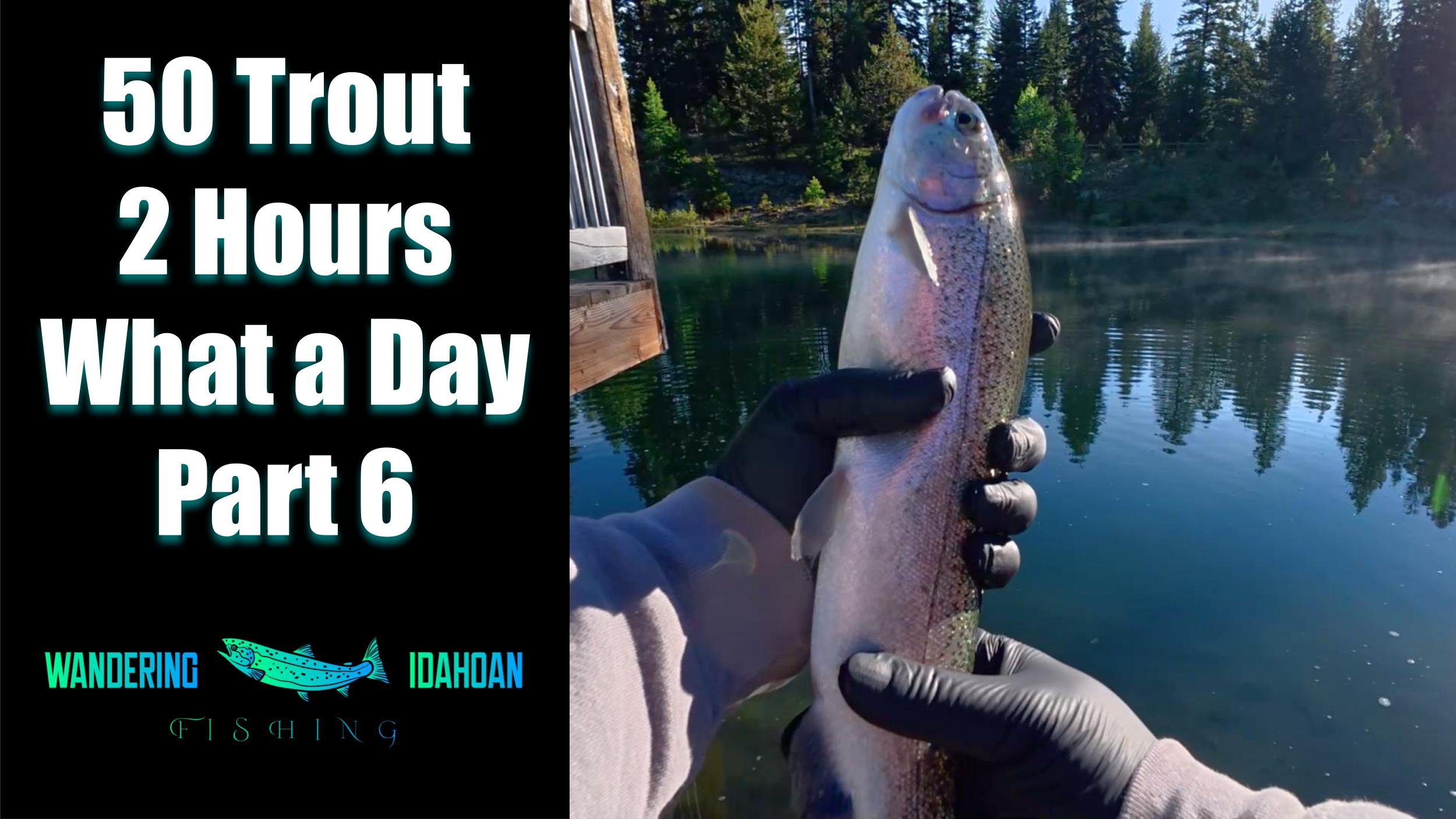50 Trout in 2 Hours, Part 6