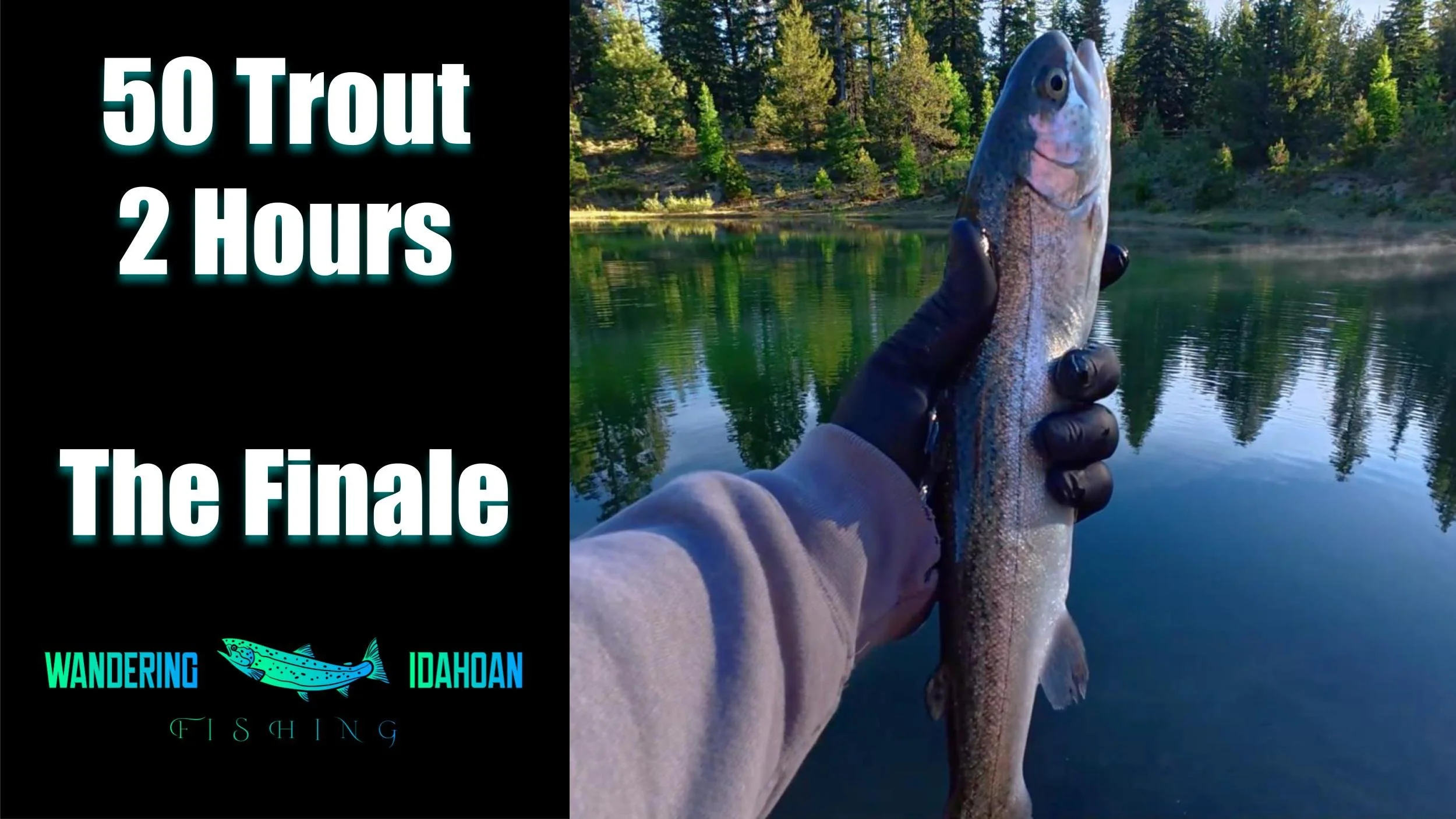 50 Trout in 2 Hours, The Finale