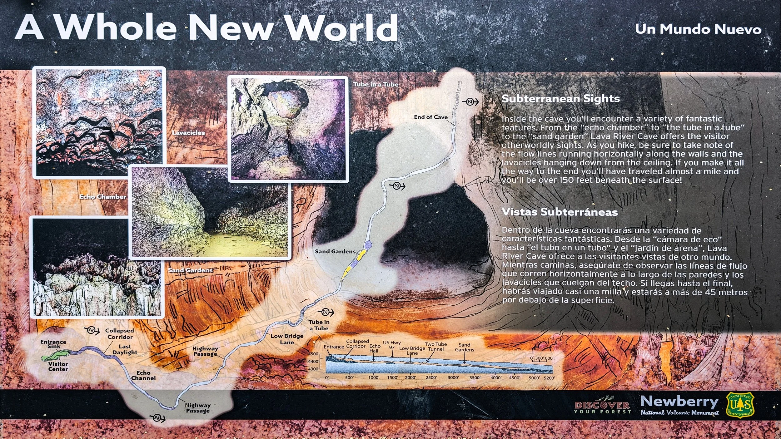 A Whole New World.jpg
