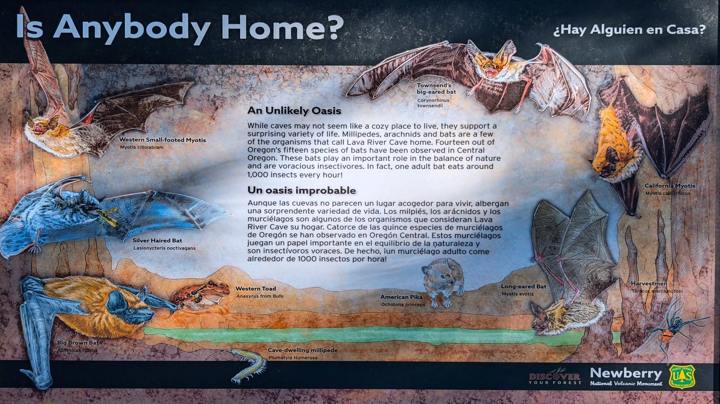 Is Anybody Home.jpg