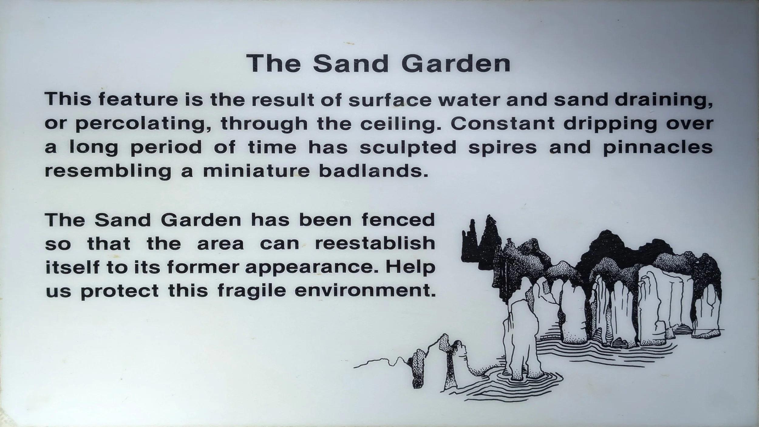 The Sand Garden.jpg