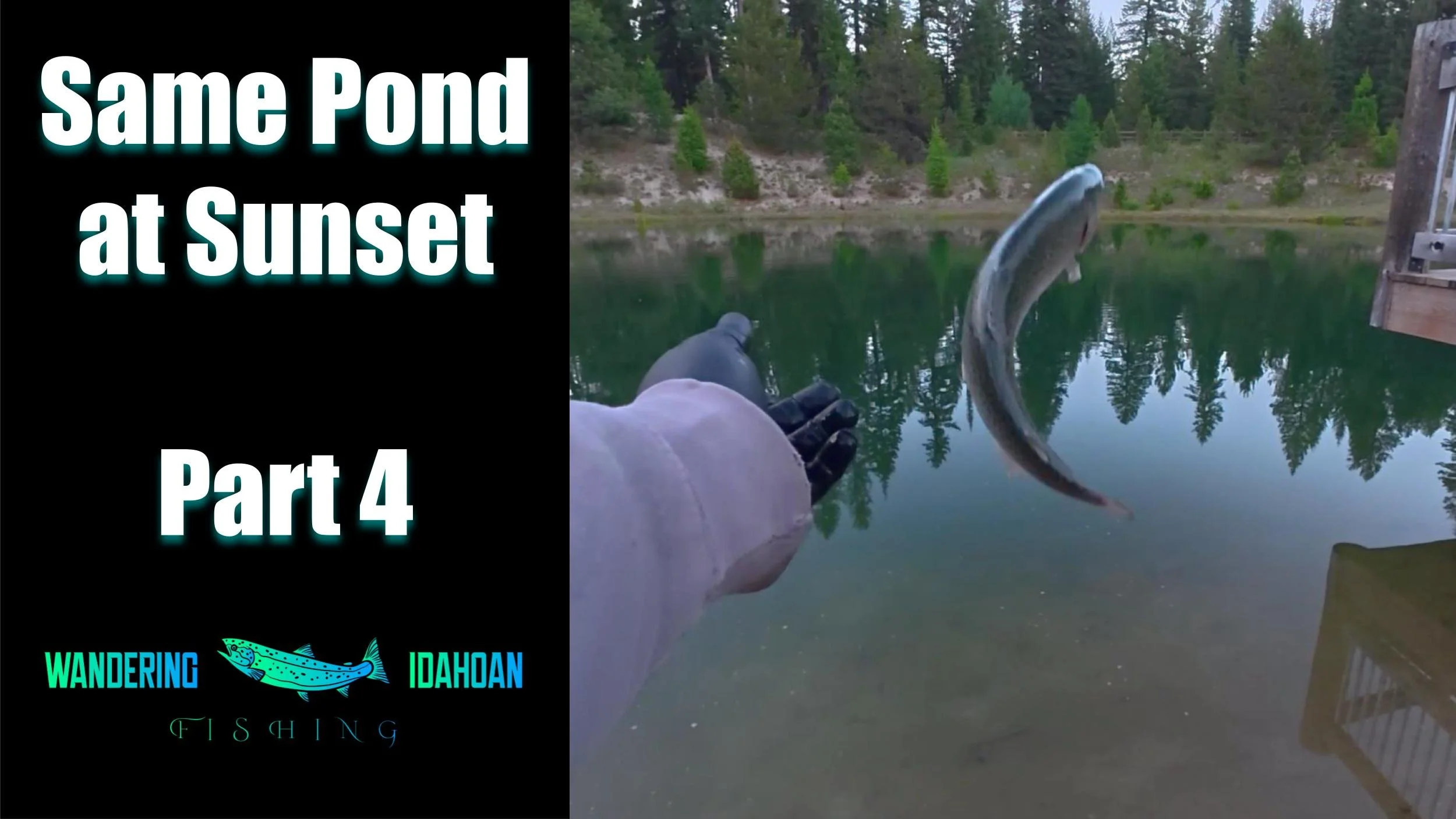 The Same Pond but in the Evening, Part 4