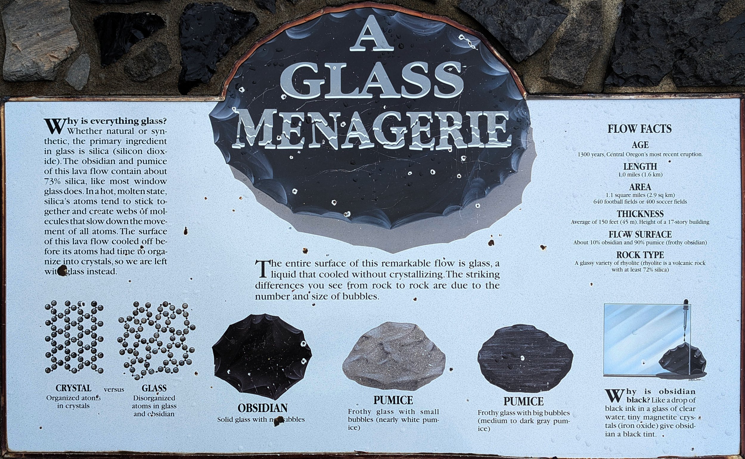 A Glass Menagerie.jpg