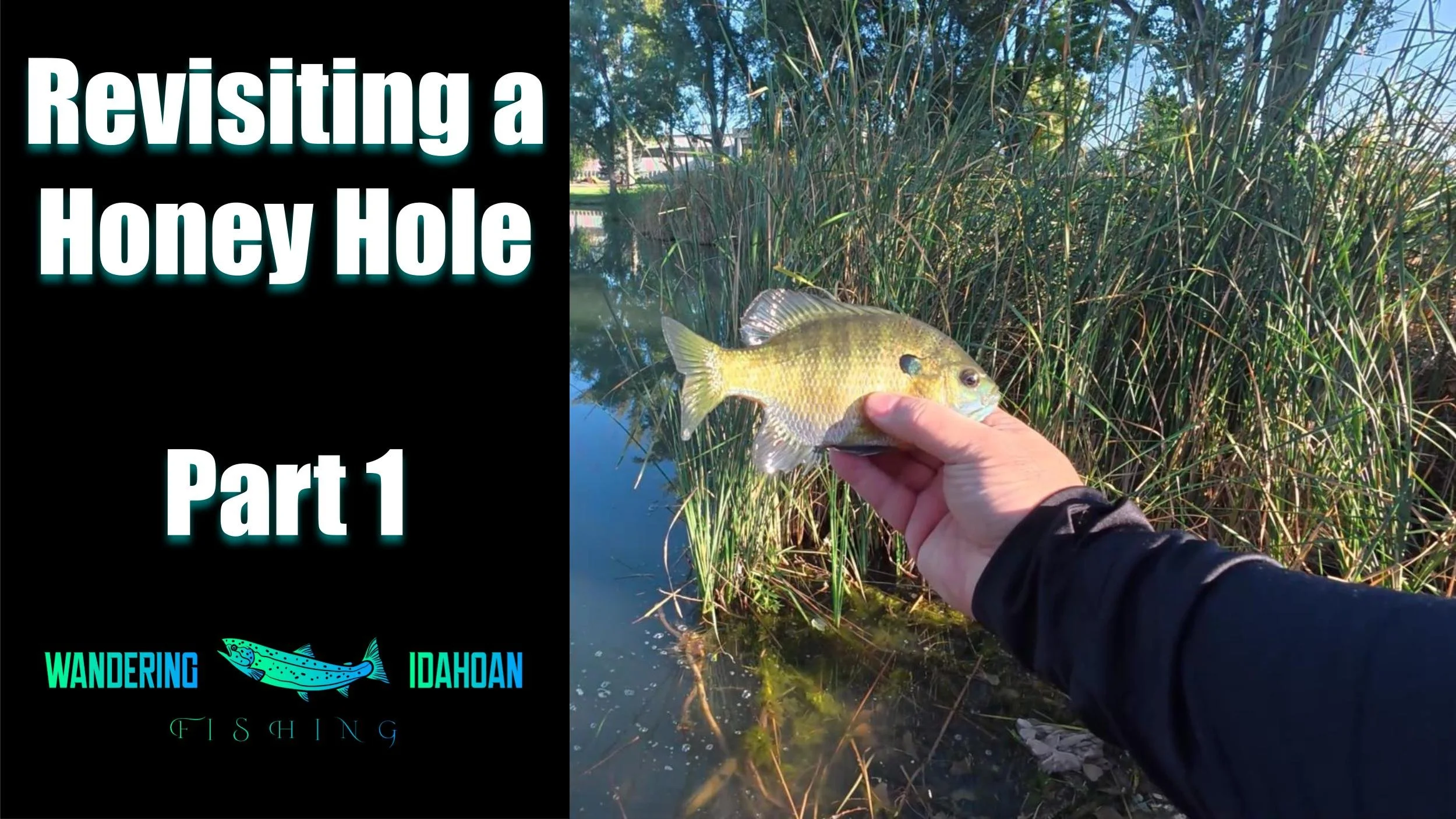 Revisiting a Honey Hole, Part 1