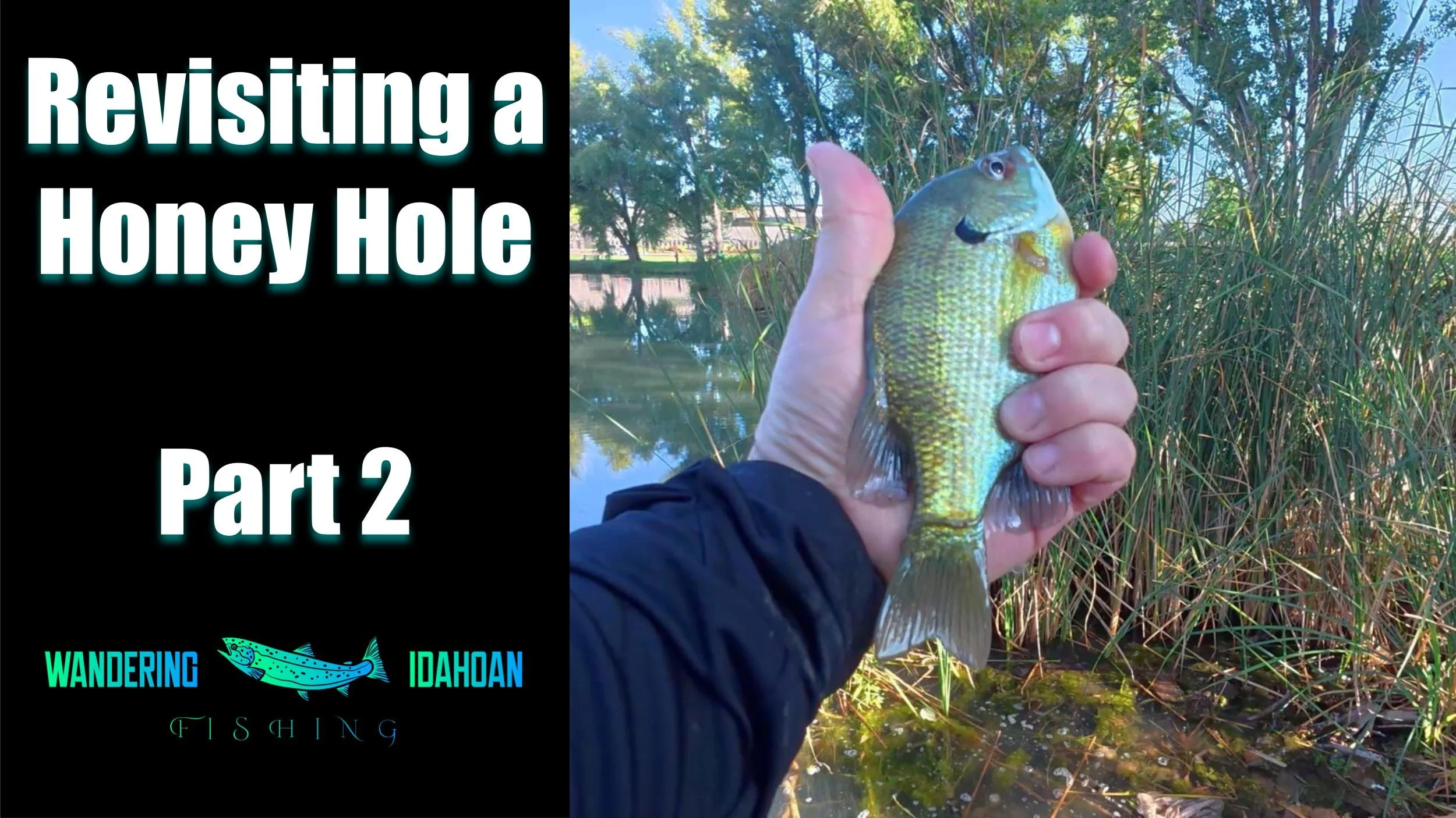 Revisiting a Honey Hole, Part 2