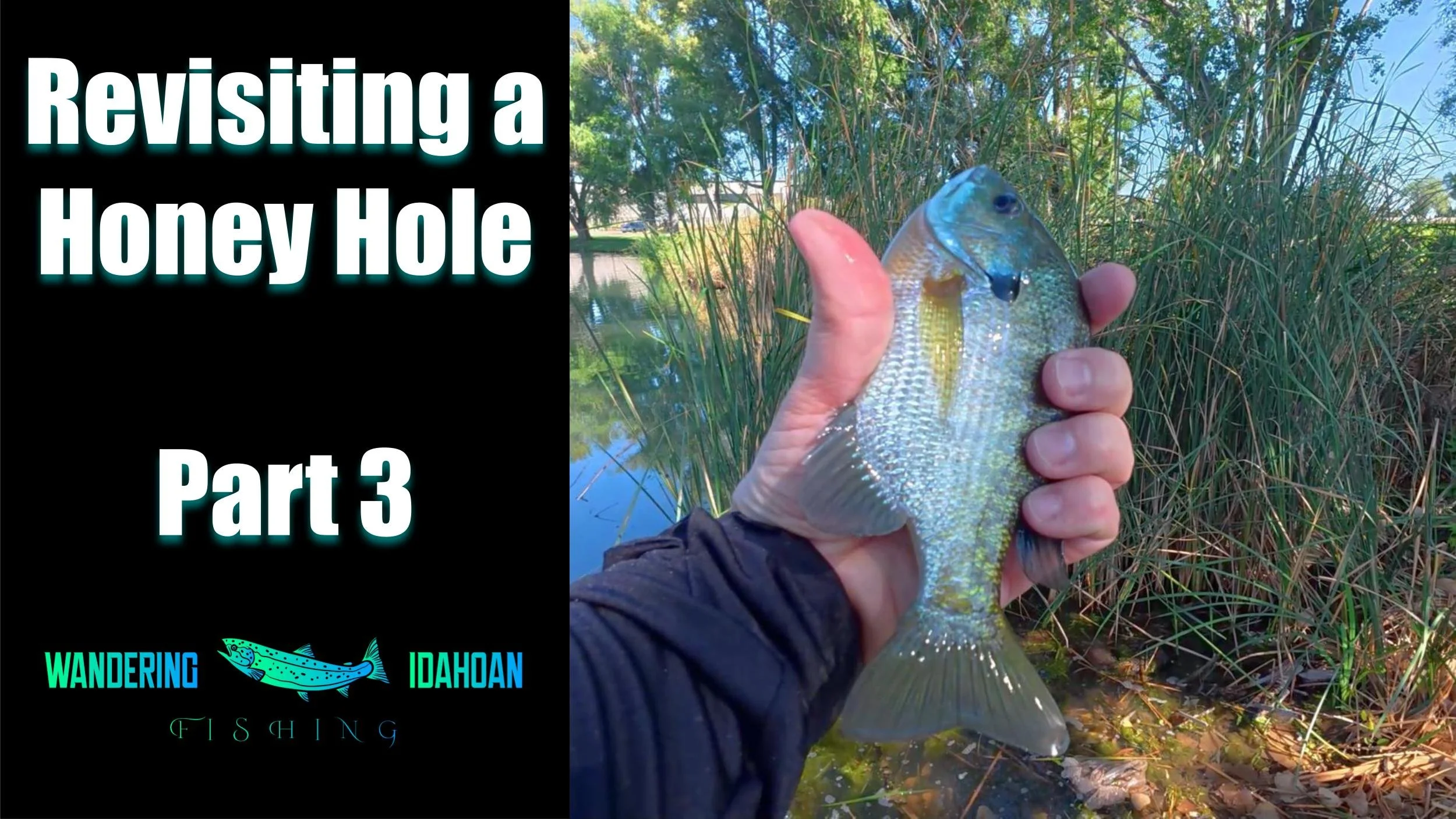 Revisiting a Honey Hole, Part 3