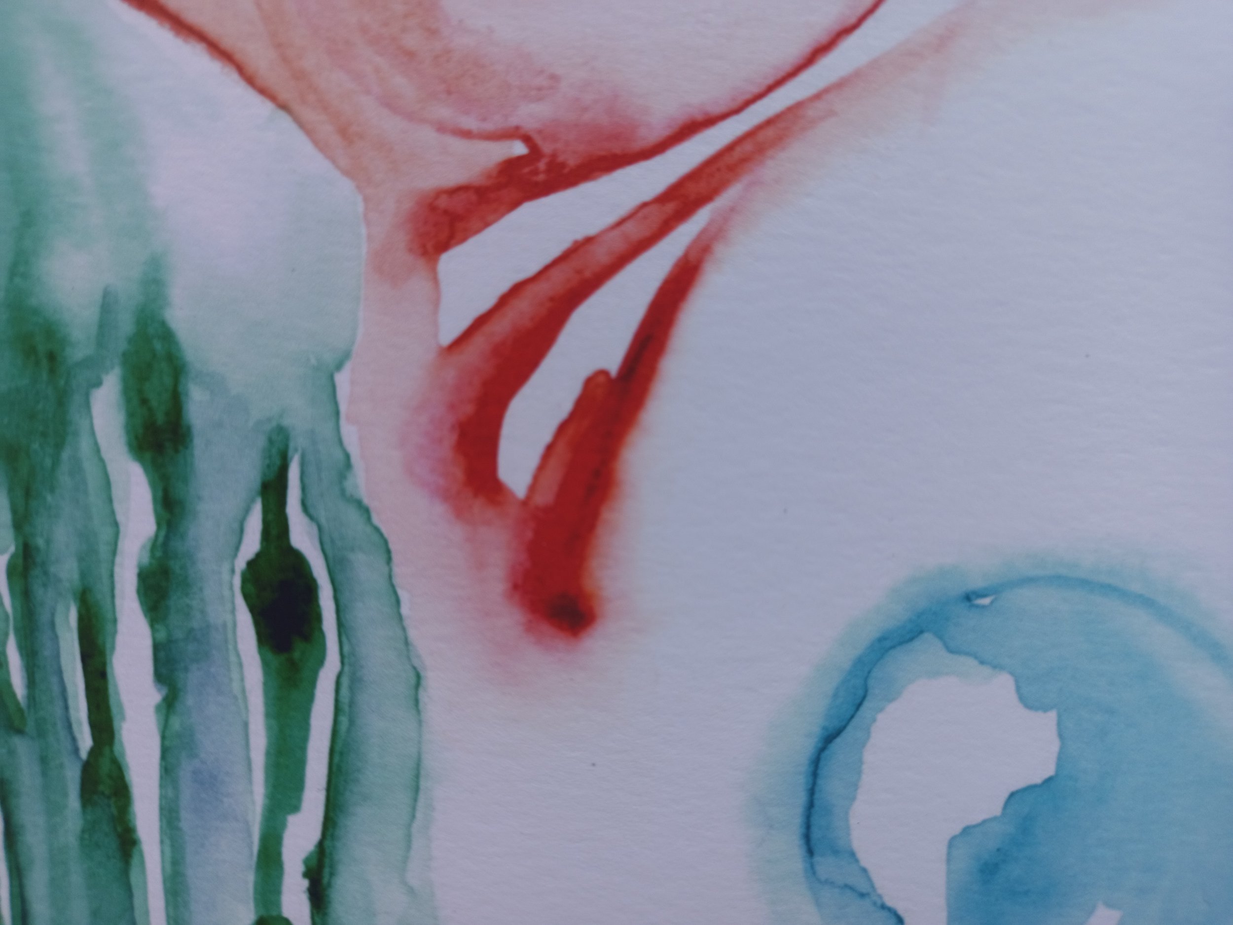 "bear moon", detail