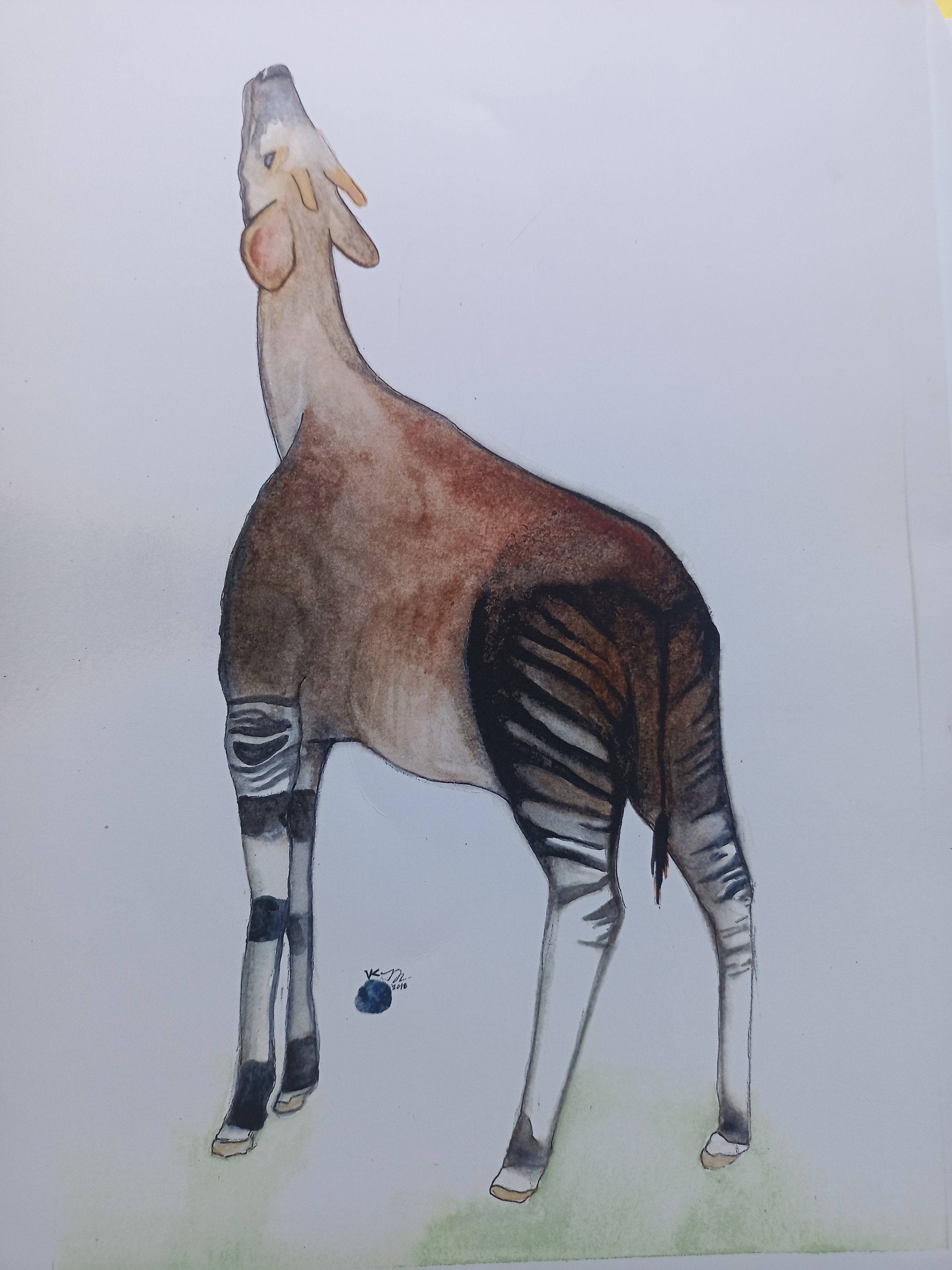 "okapi"
8.5"x11"
SOLD-Commissioned